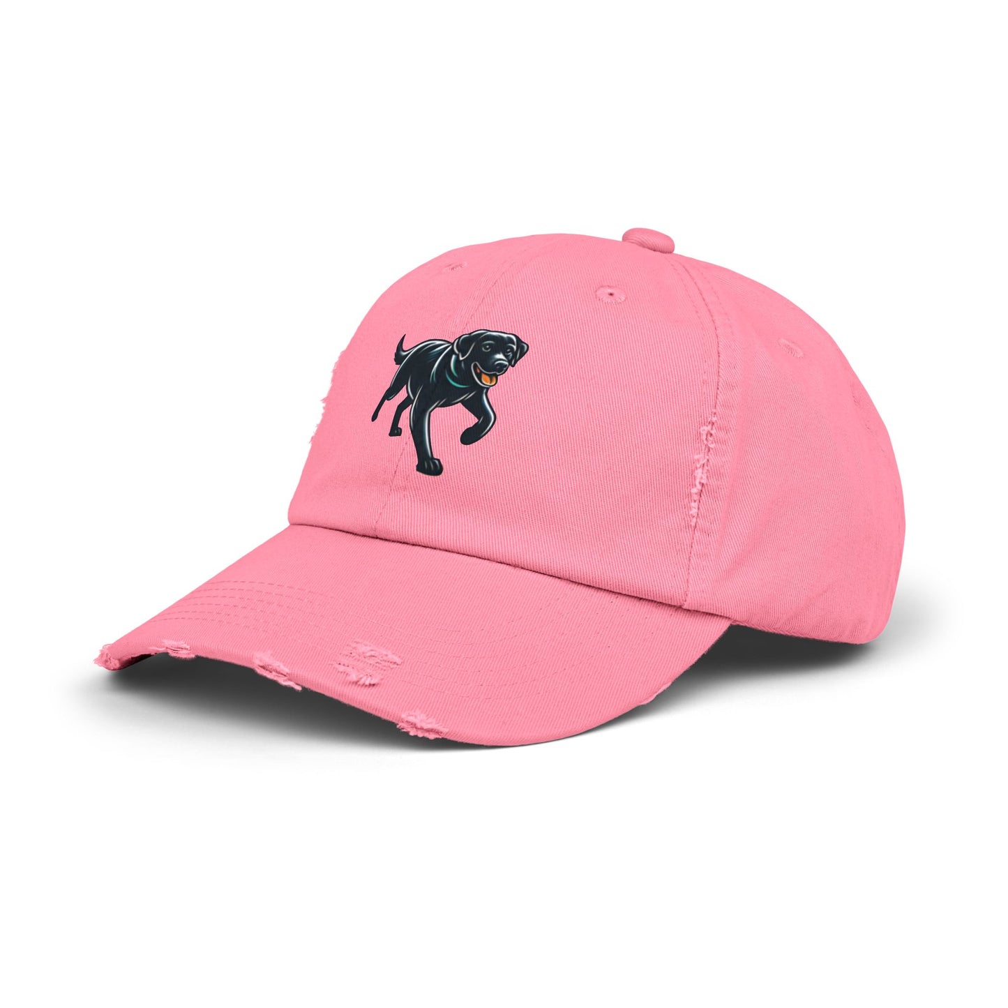 Jetty’s Adventures, Unisex Distressed Cap
