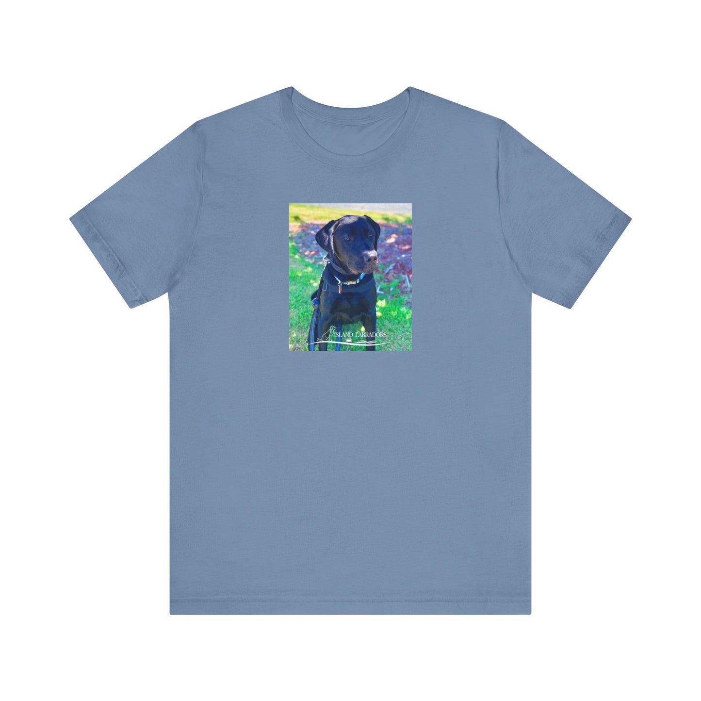 Coastie Black Labby