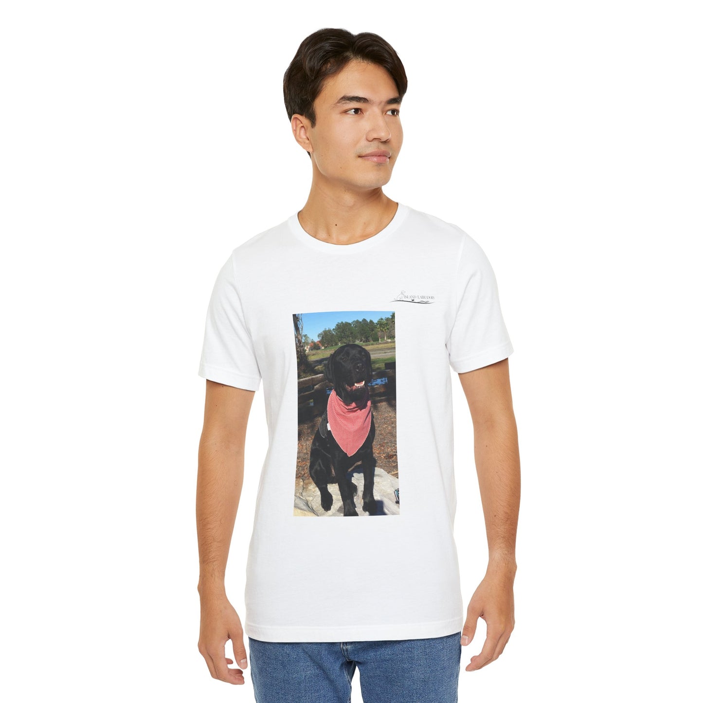 Coastie Black Lab
