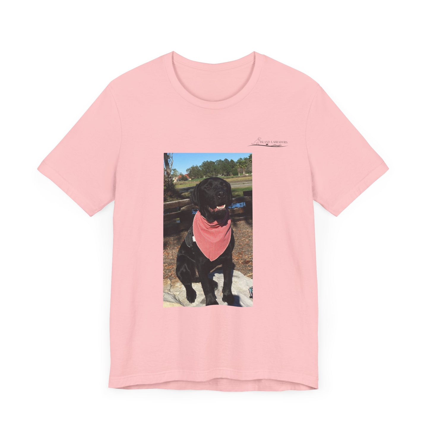 Coastie Black Lab