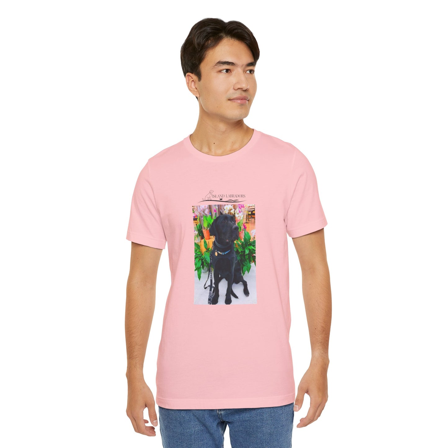 Coastie Service Dog