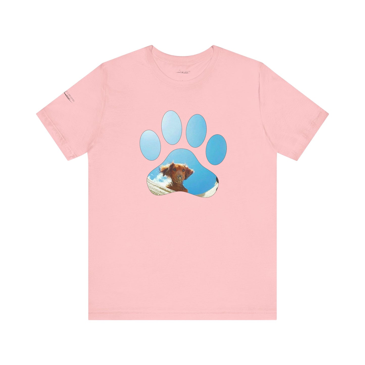 Paw Sandy Hole