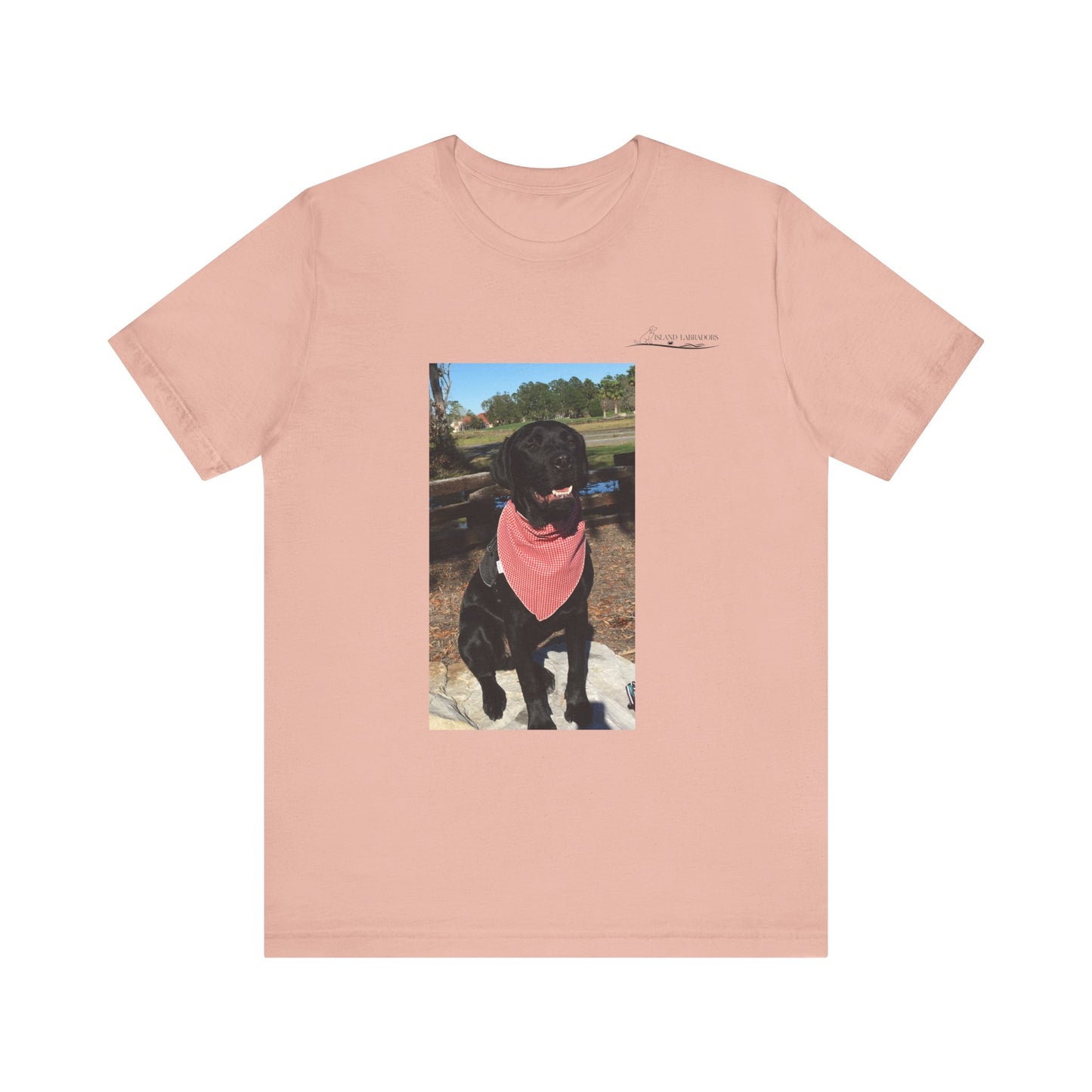 Coastie Black Lab