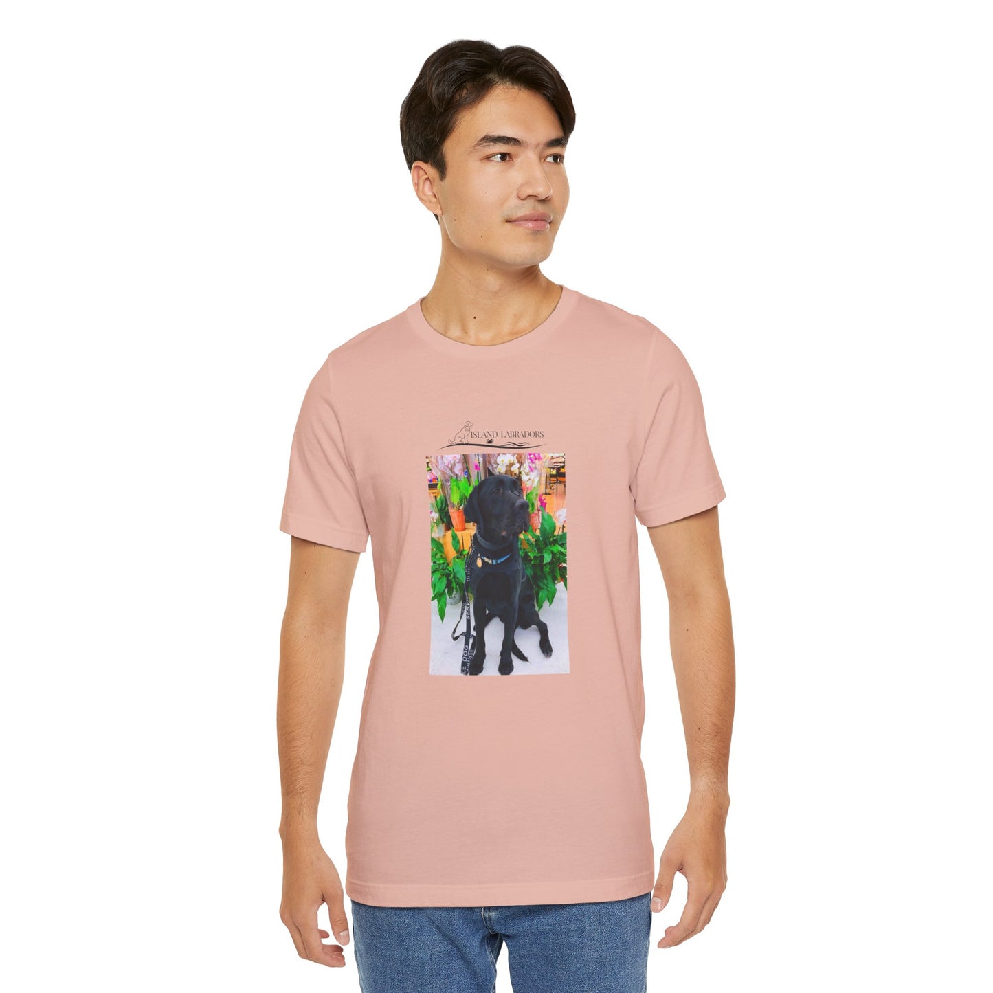 Coastie Service Dog