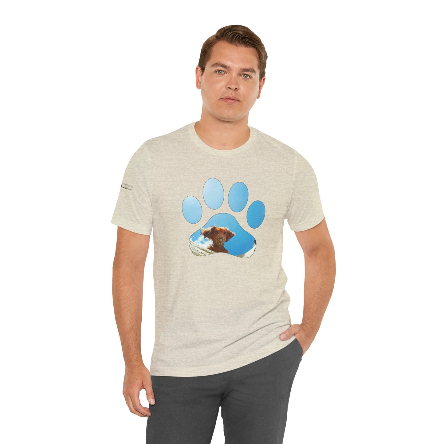 Paw Sandy Hole