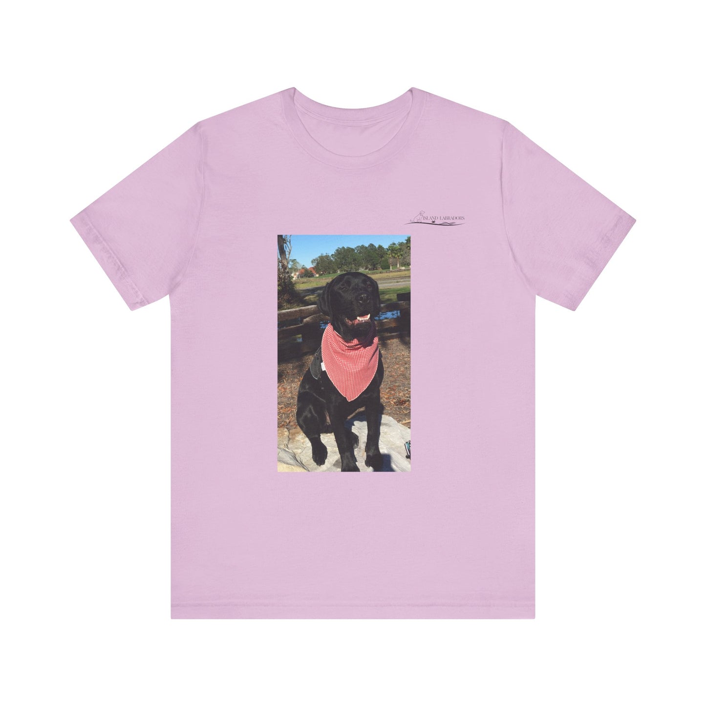 Coastie Black Lab