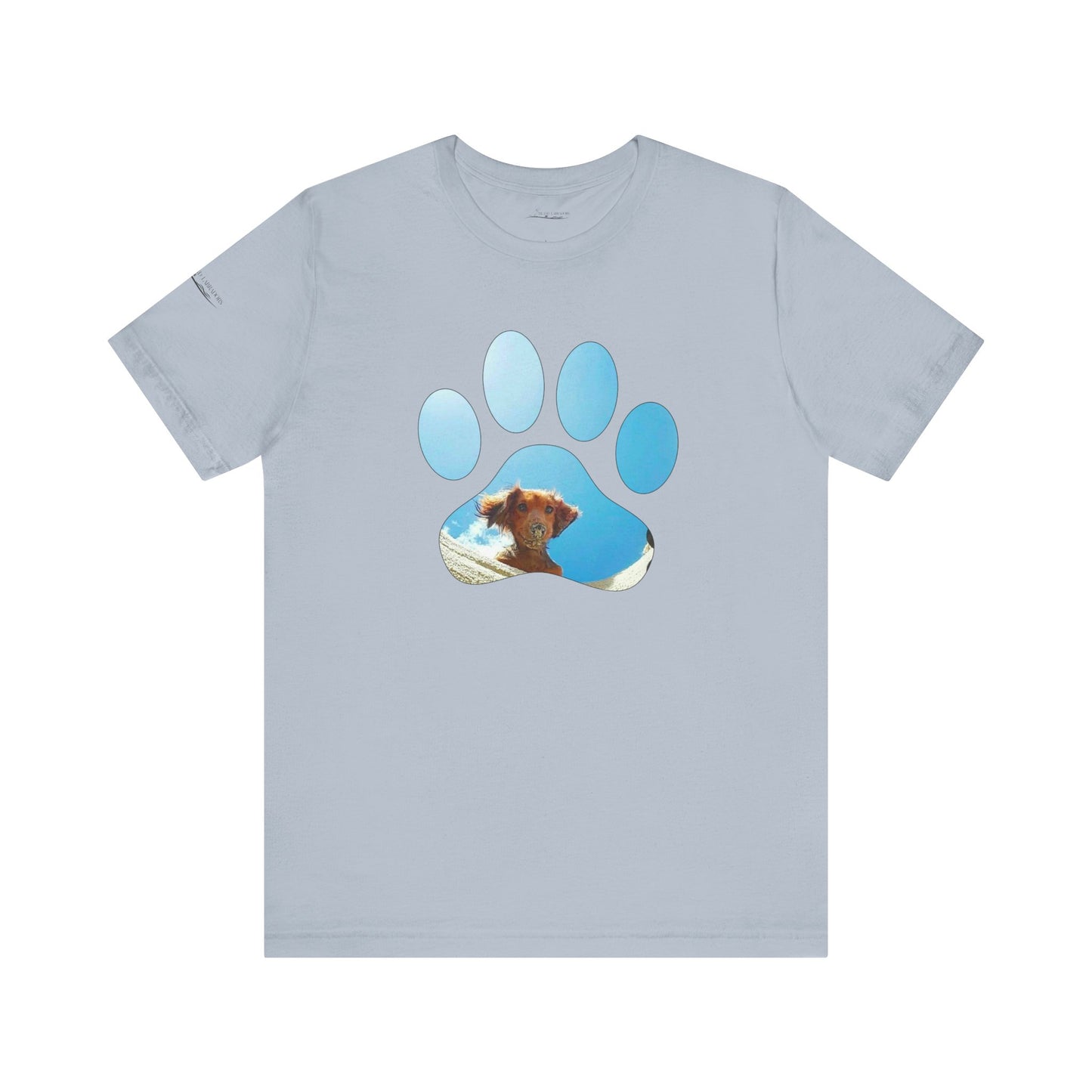 Paw Sandy Hole