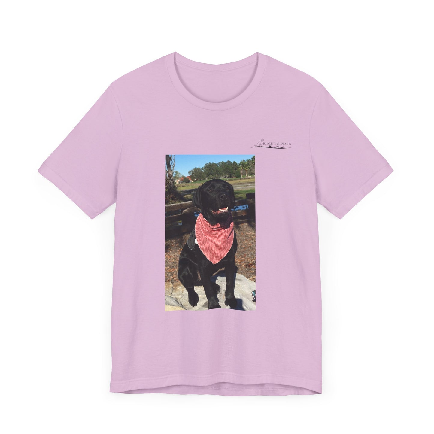 Coastie Black Lab