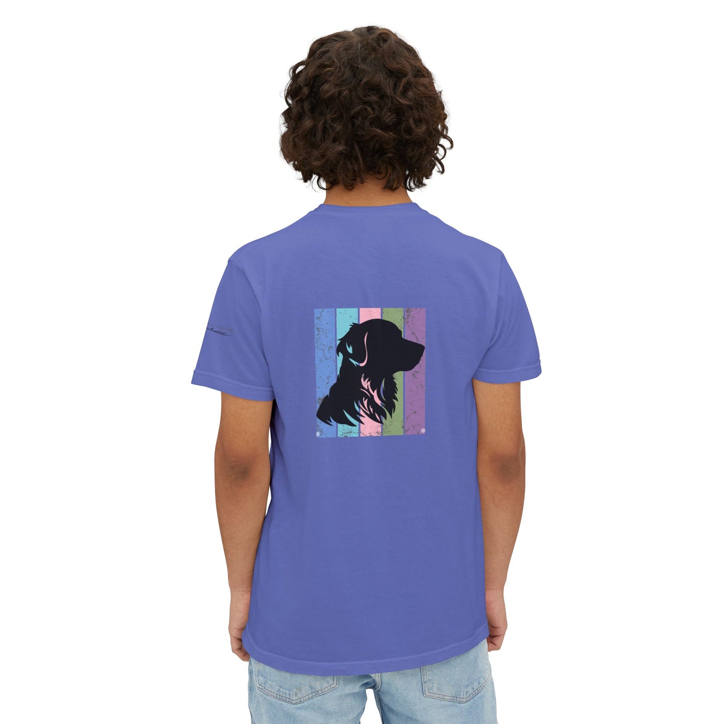 Golden retriever Summer