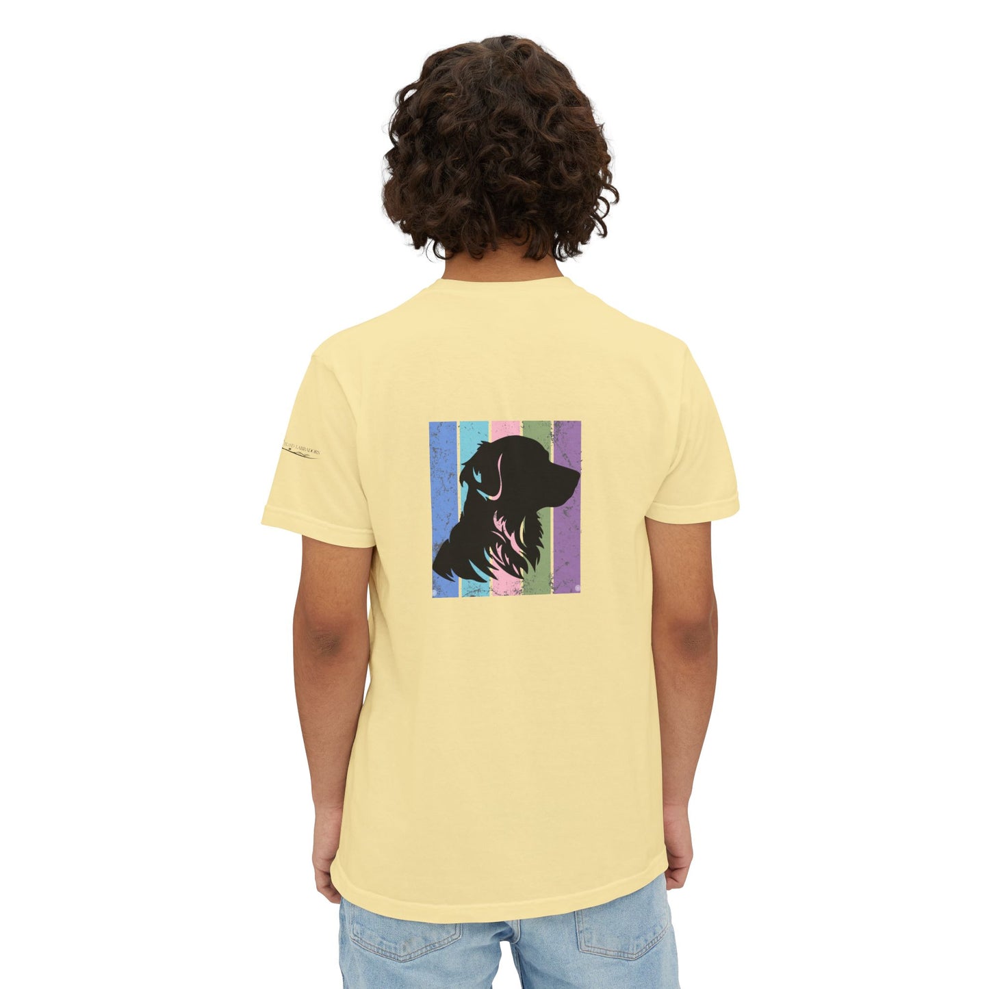 Golden retriever Summer