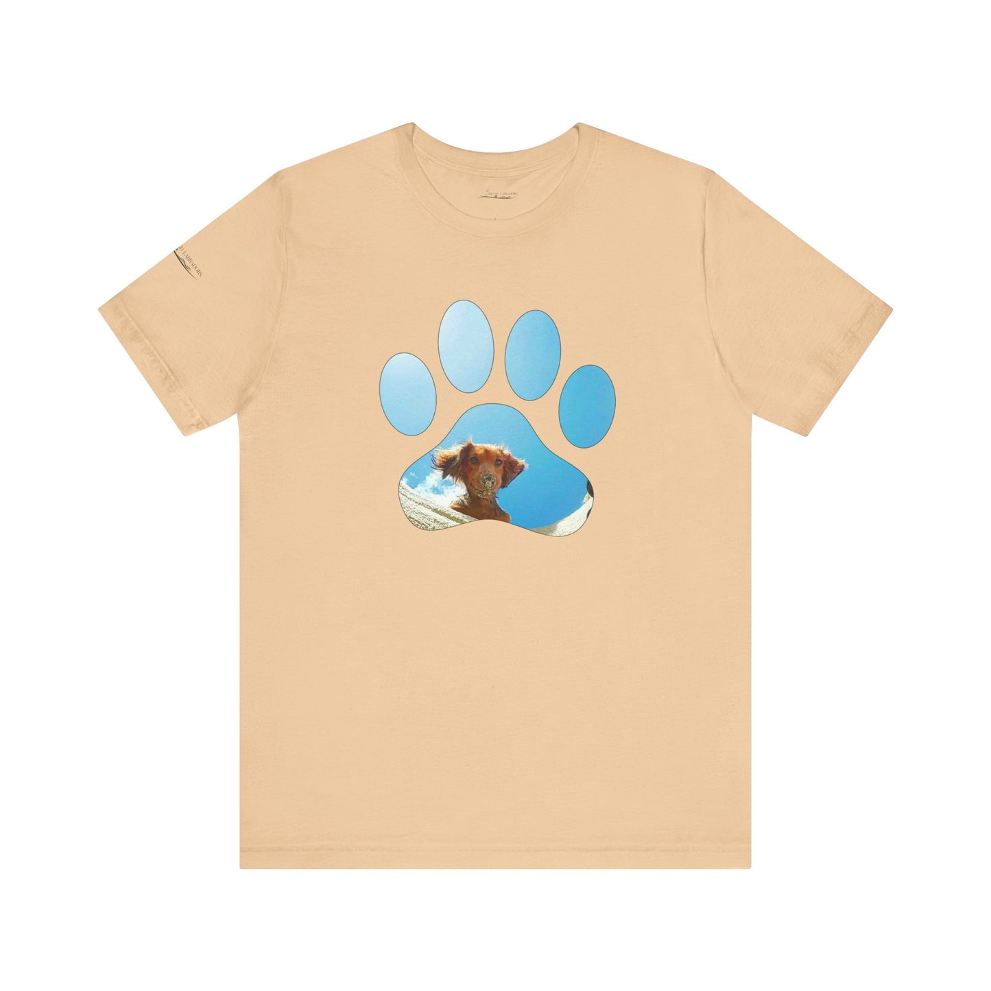 Paw Sandy Hole