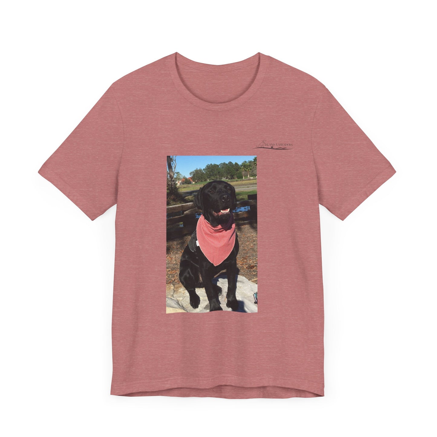 Coastie Black Lab