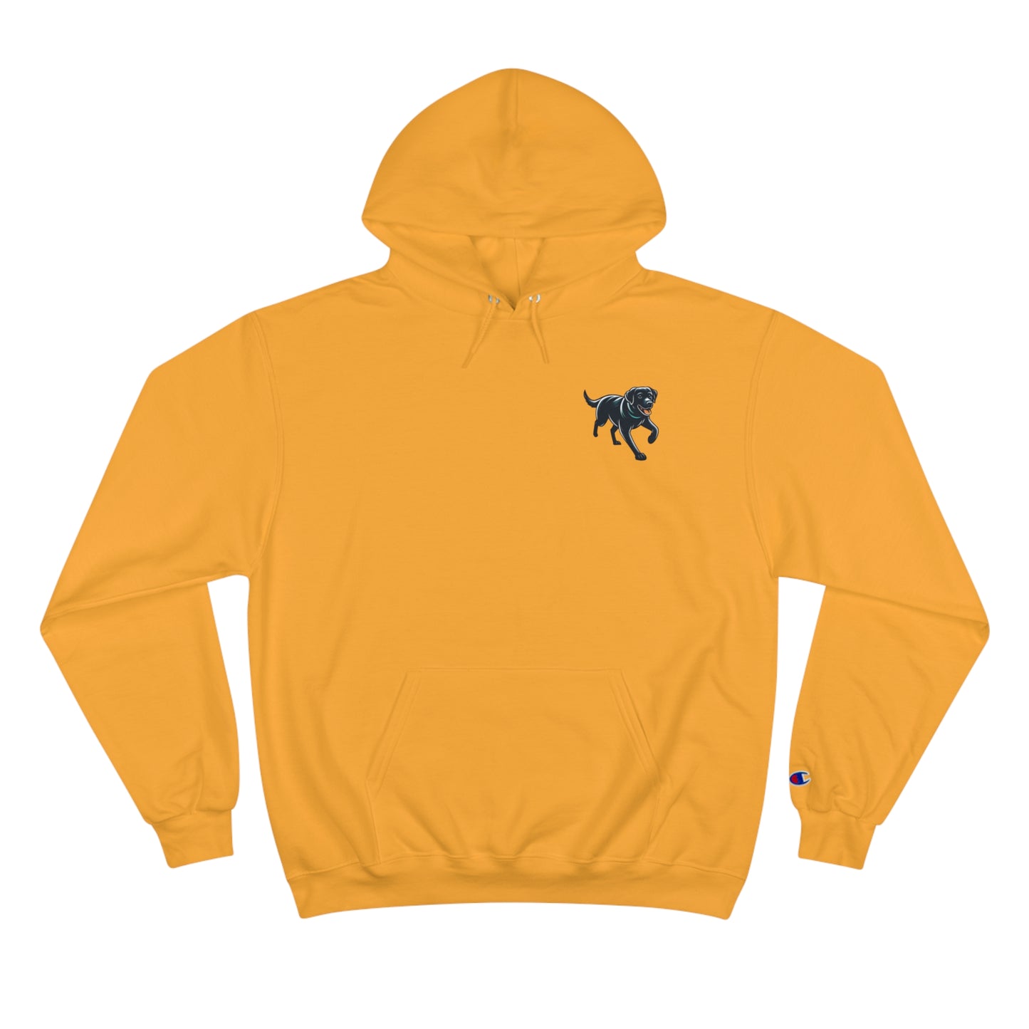 Follow your dreams, Champion Hoodie