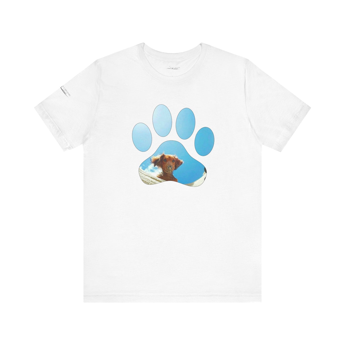 Paw Sandy Hole