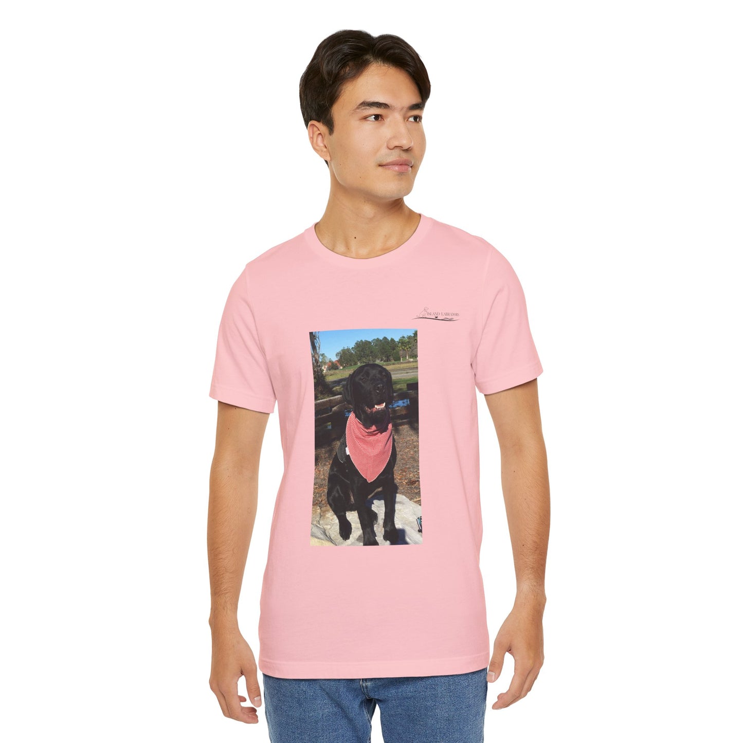 Coastie Black Lab