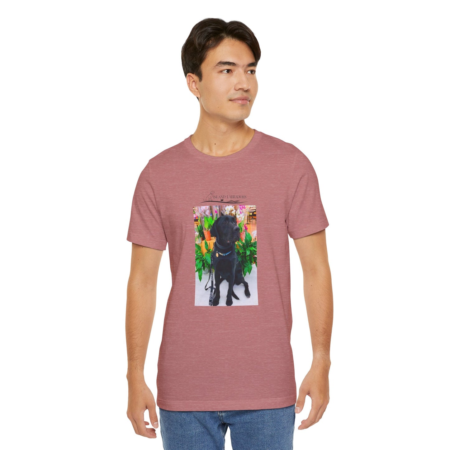 Coastie Service Dog