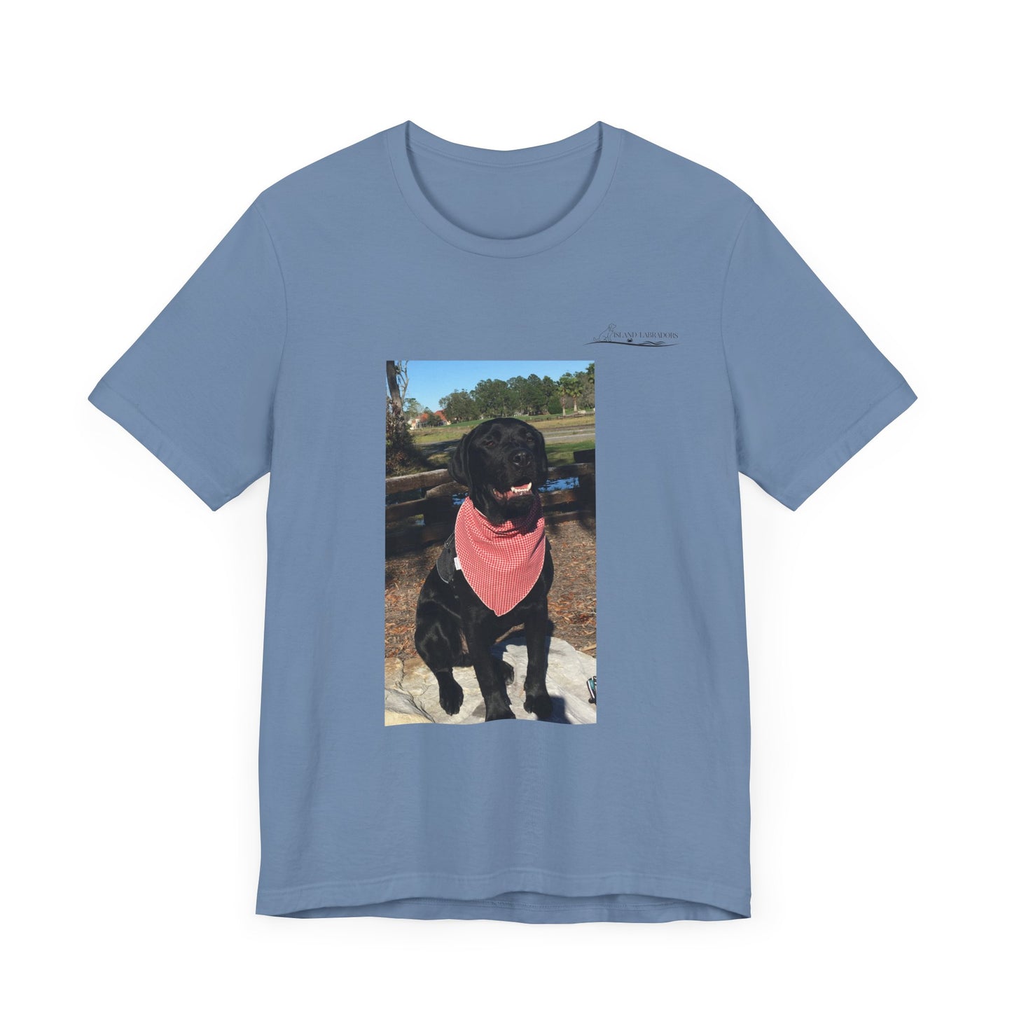 Coastie Black Lab
