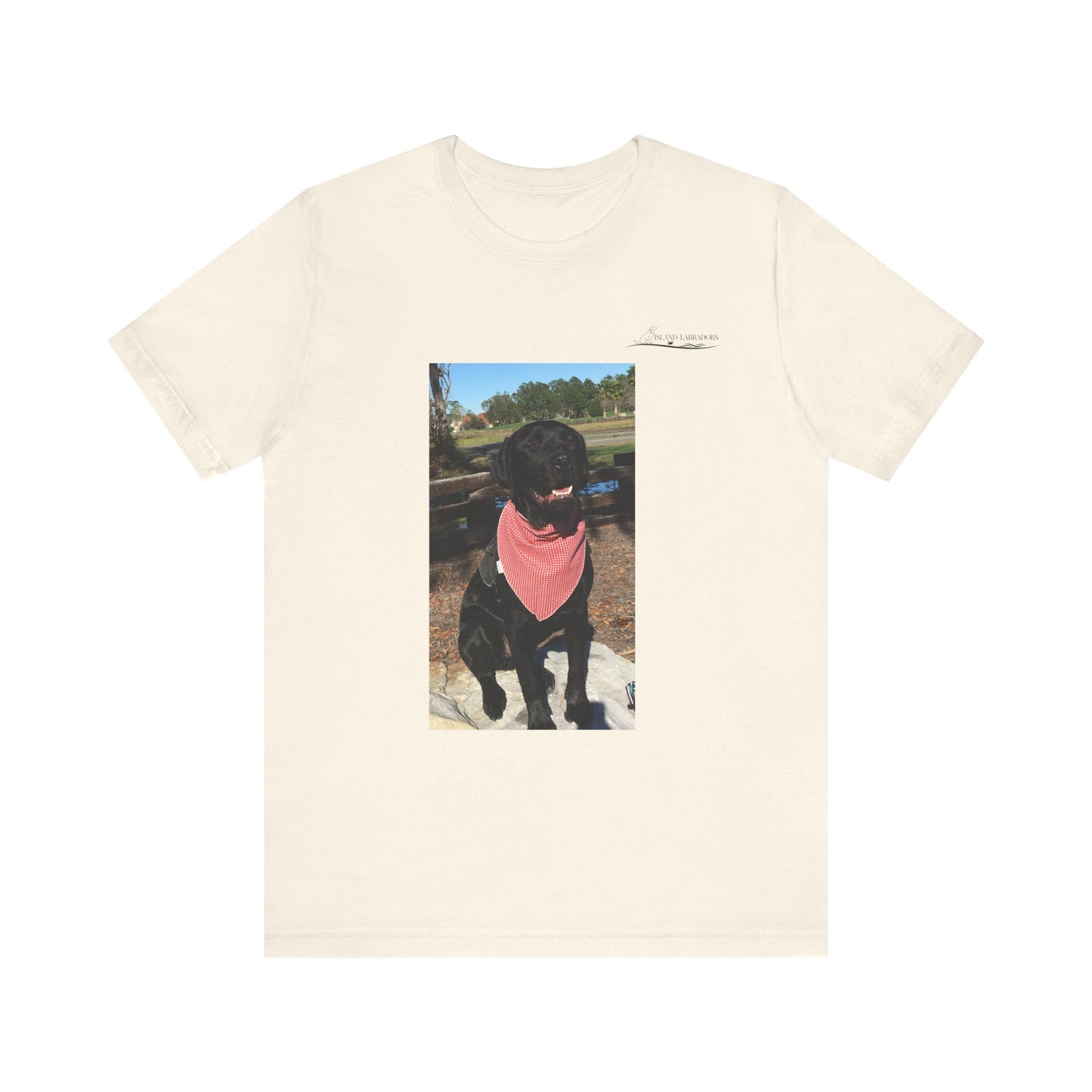 Coastie Black Lab