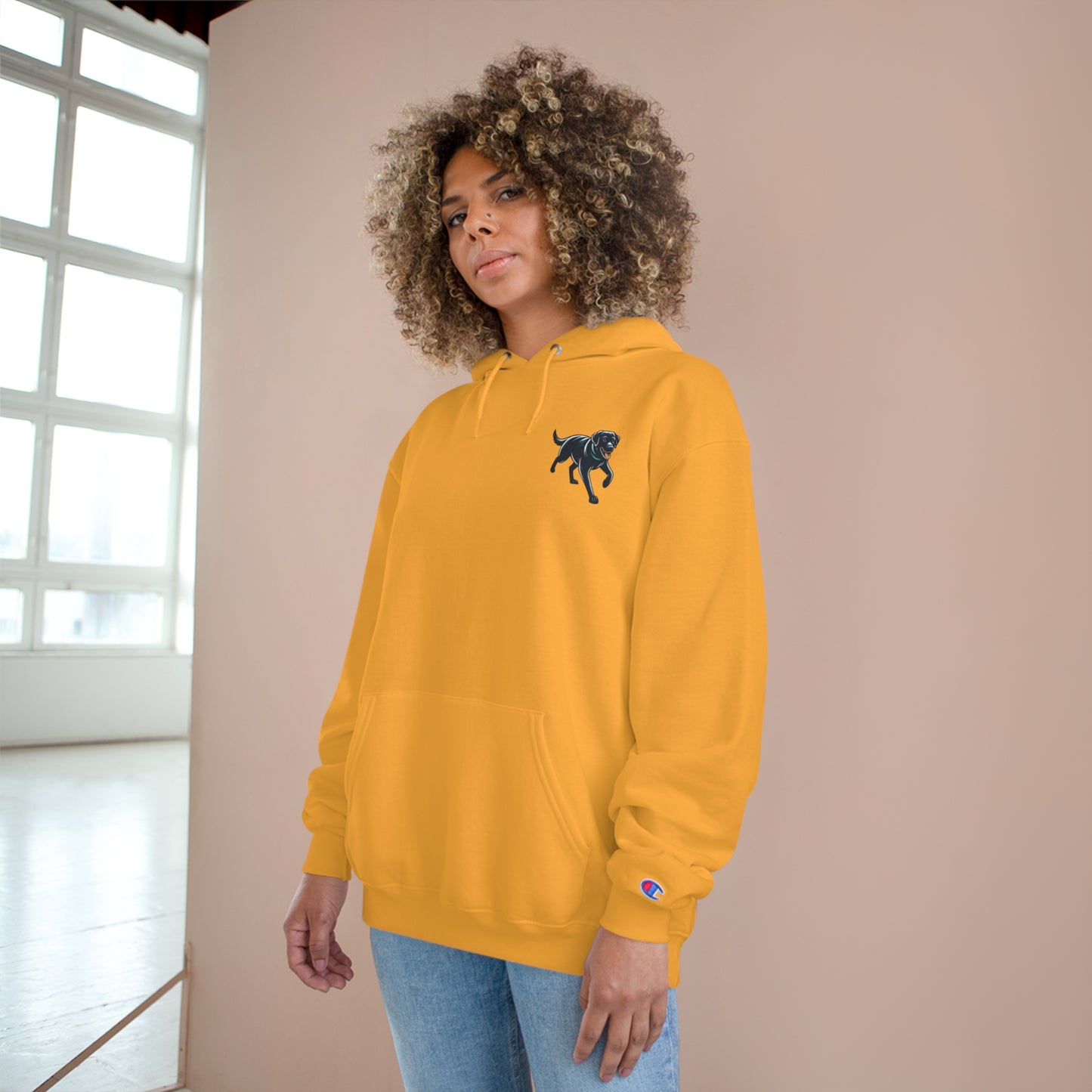 Jetty Sunset, Champion Hoodie