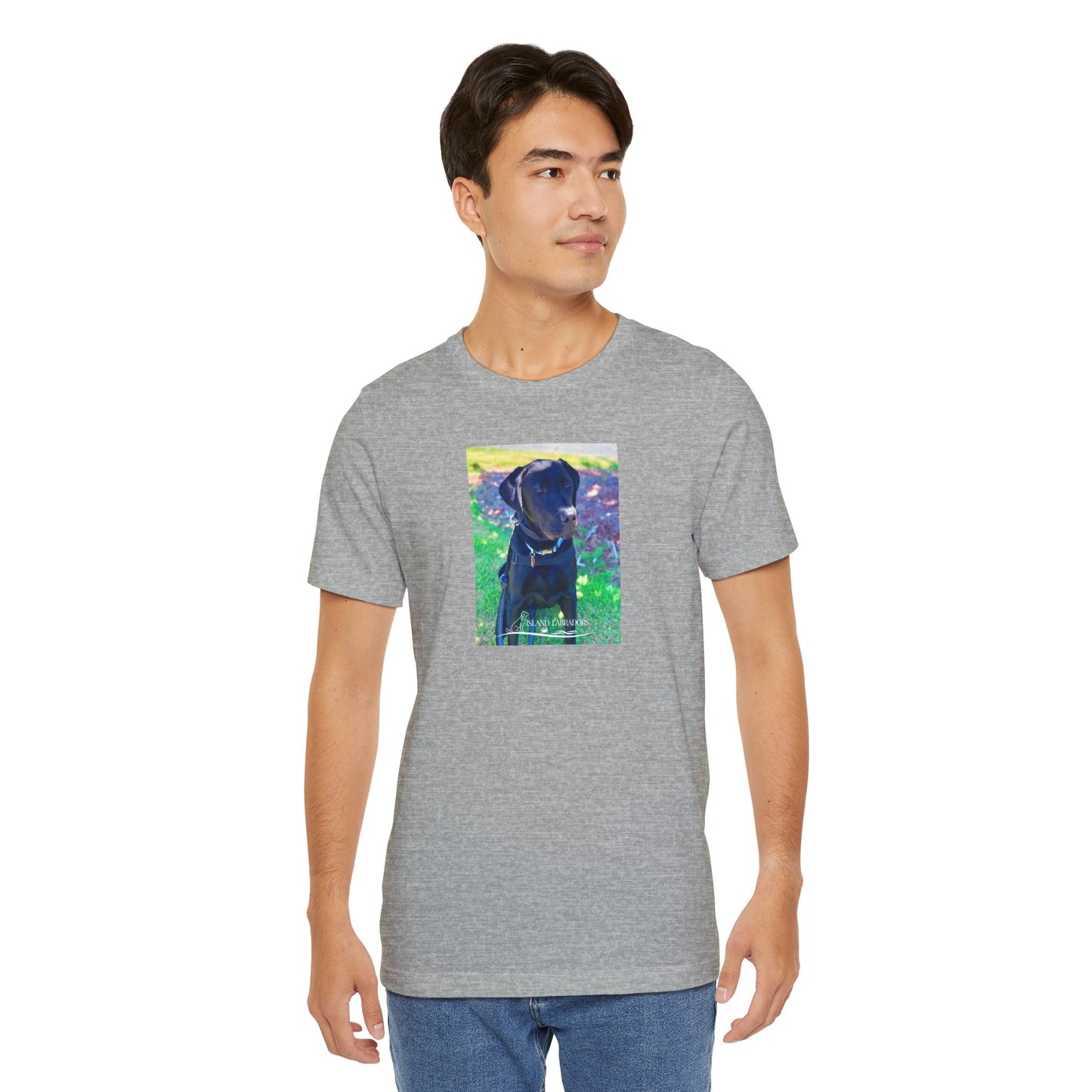 Coastie Black Labby