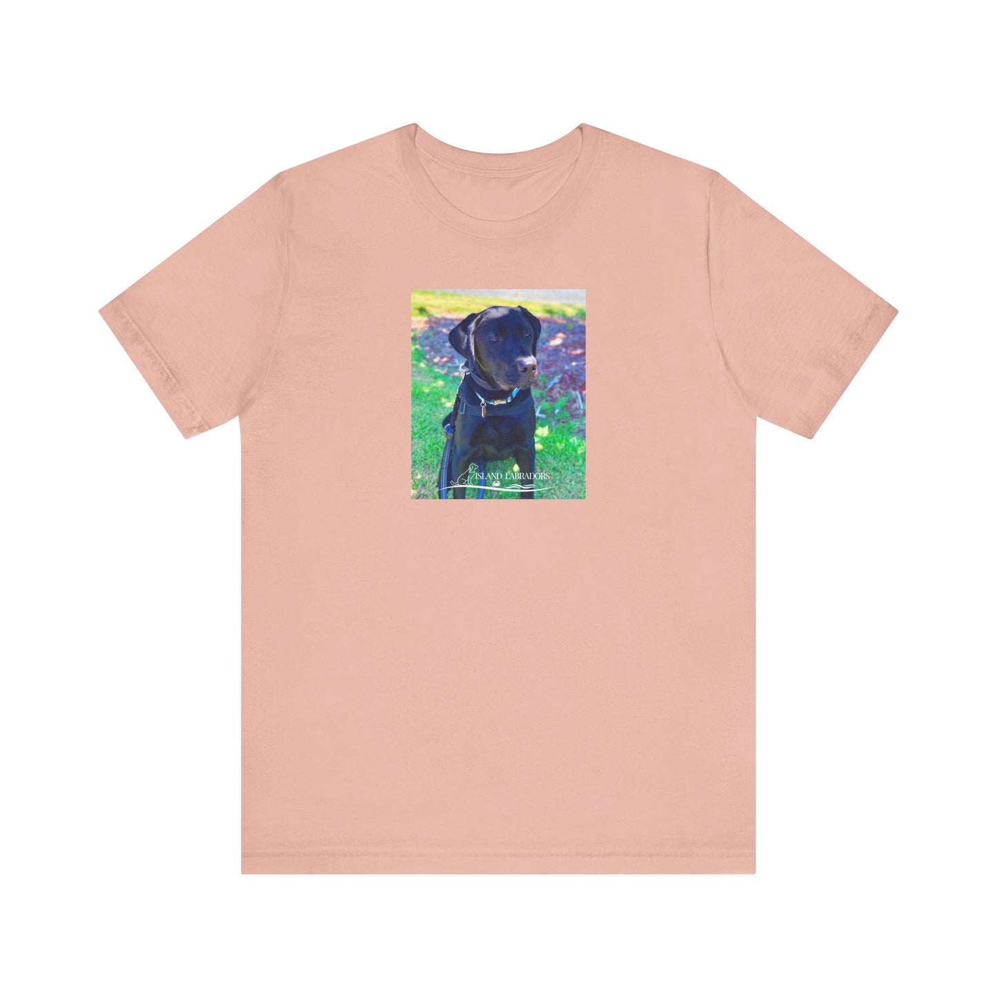 Coastie Black Labby