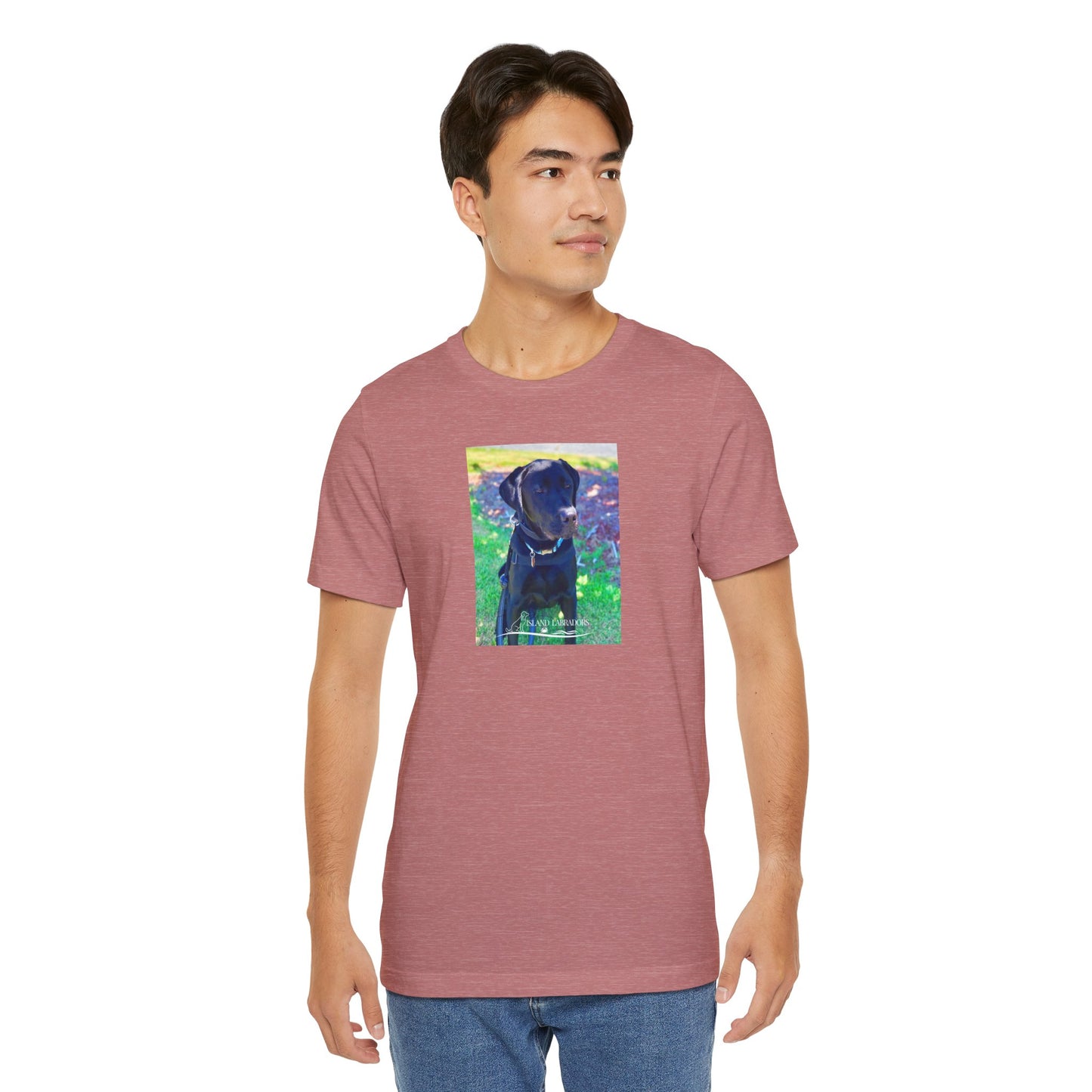 Coastie Black Labby