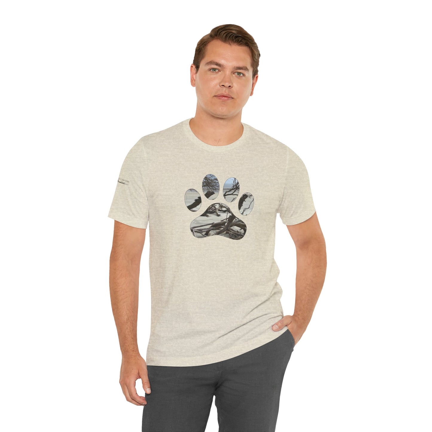 Paw Driftwood Beach