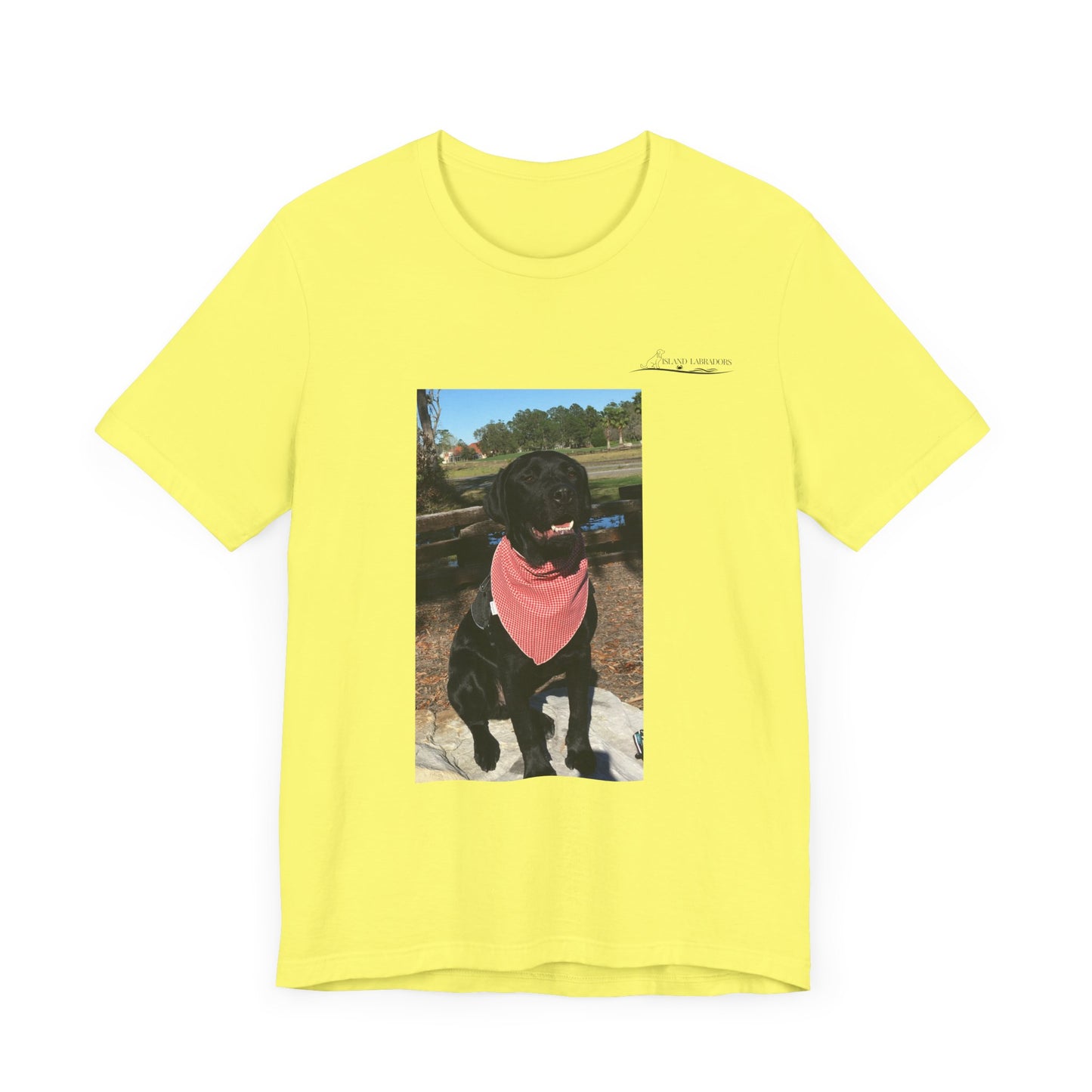 Coastie Black Lab