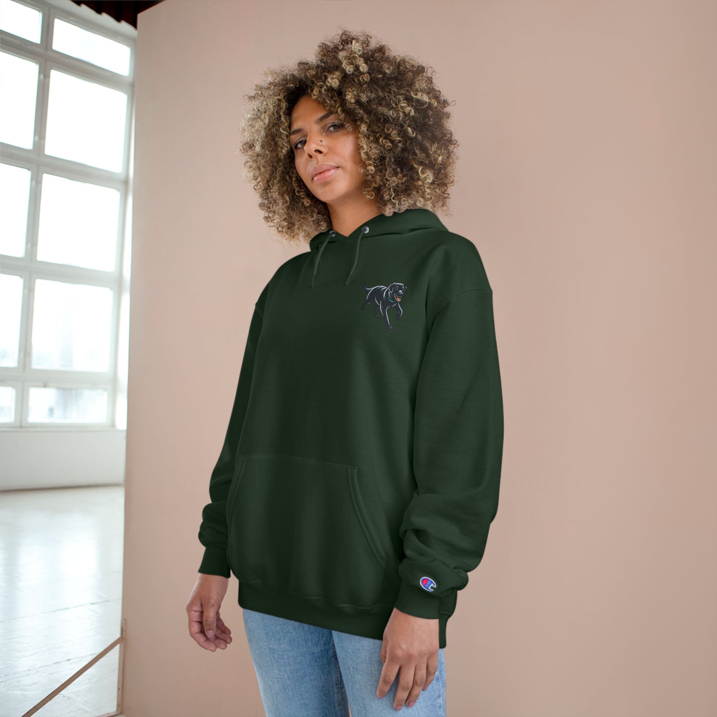 Jetty Sunset, Champion Hoodie