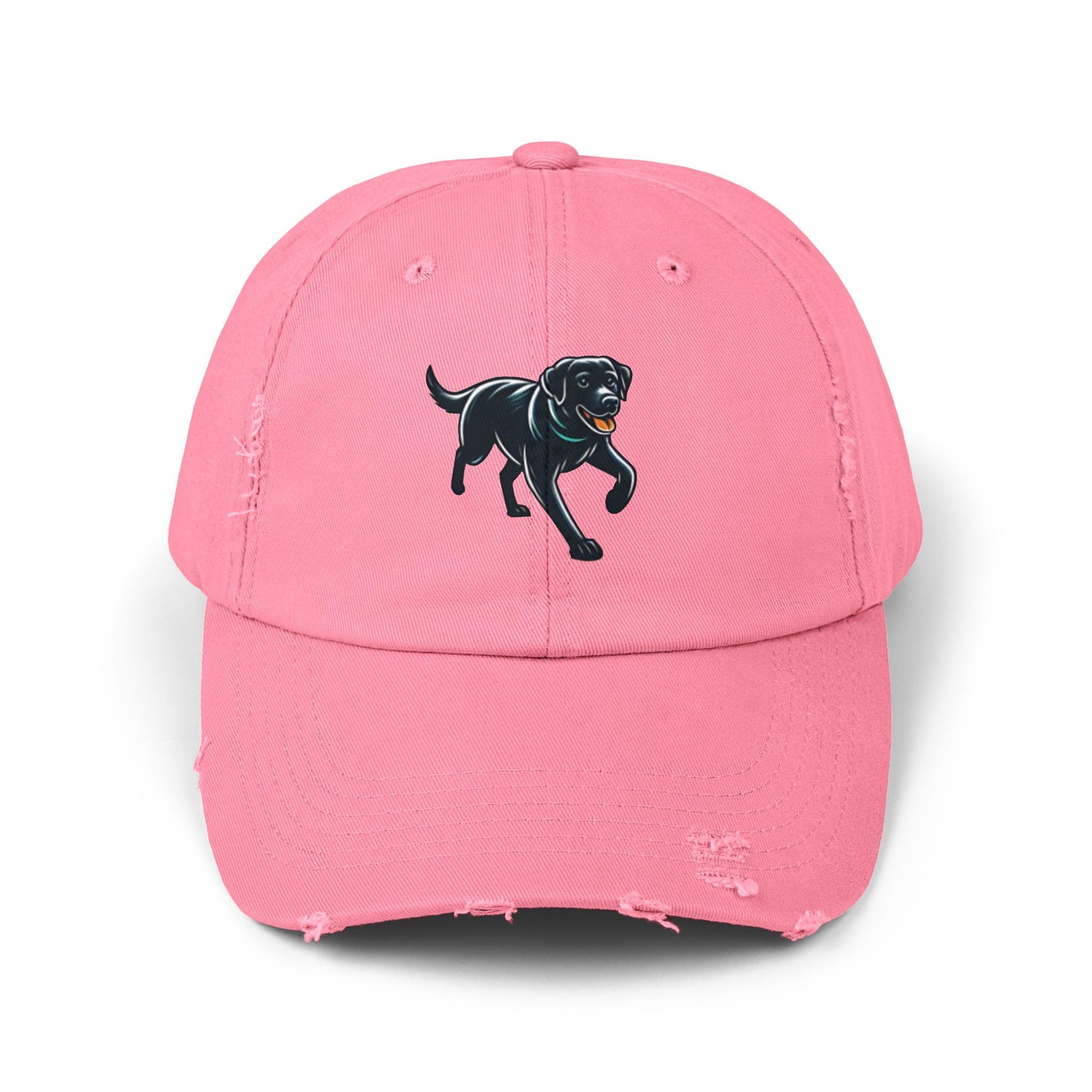 Jetty’s Adventures, Unisex Distressed Cap