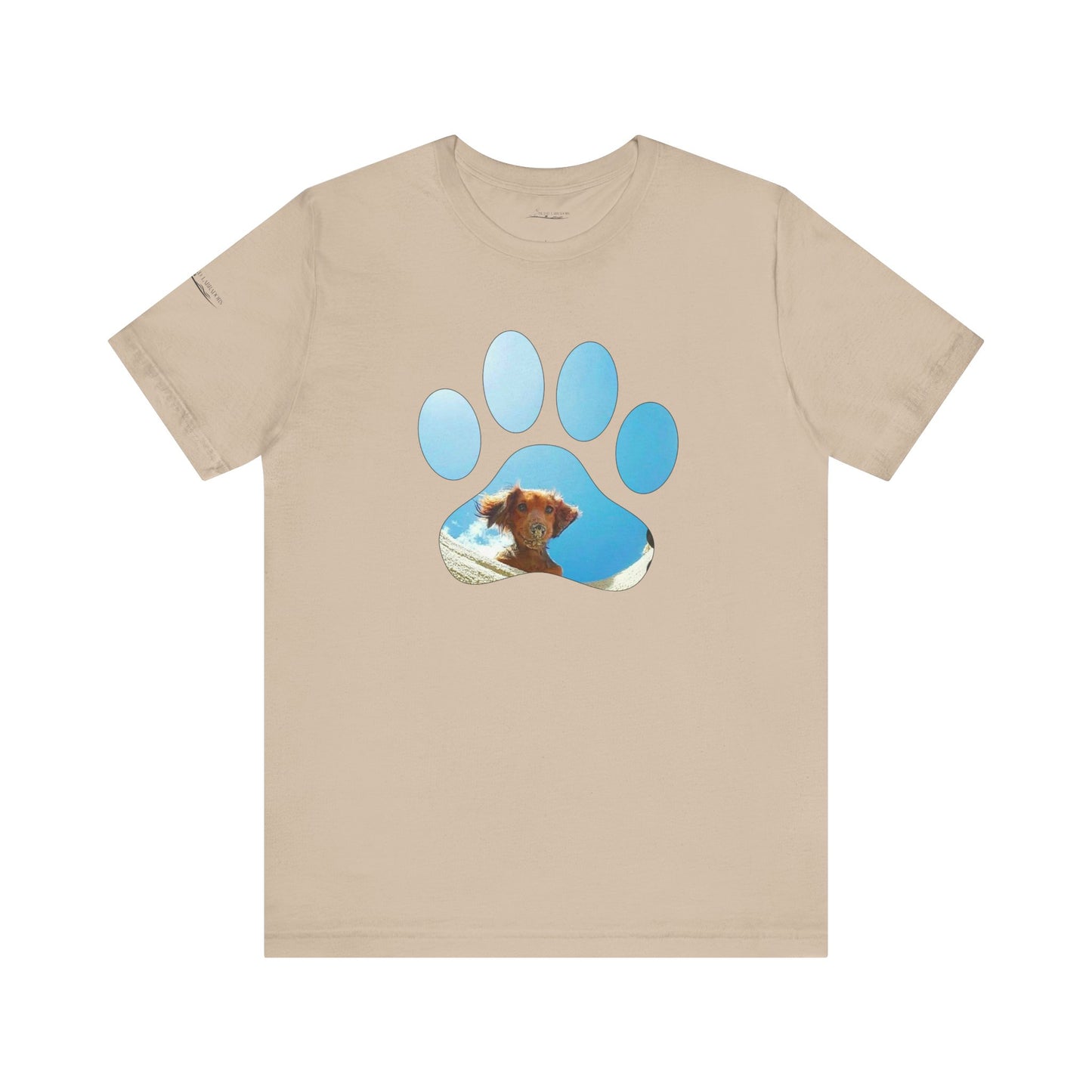 Paw Sandy Hole