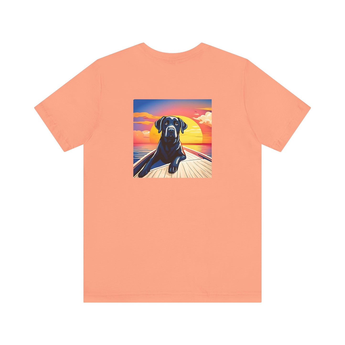 Sunset Lab