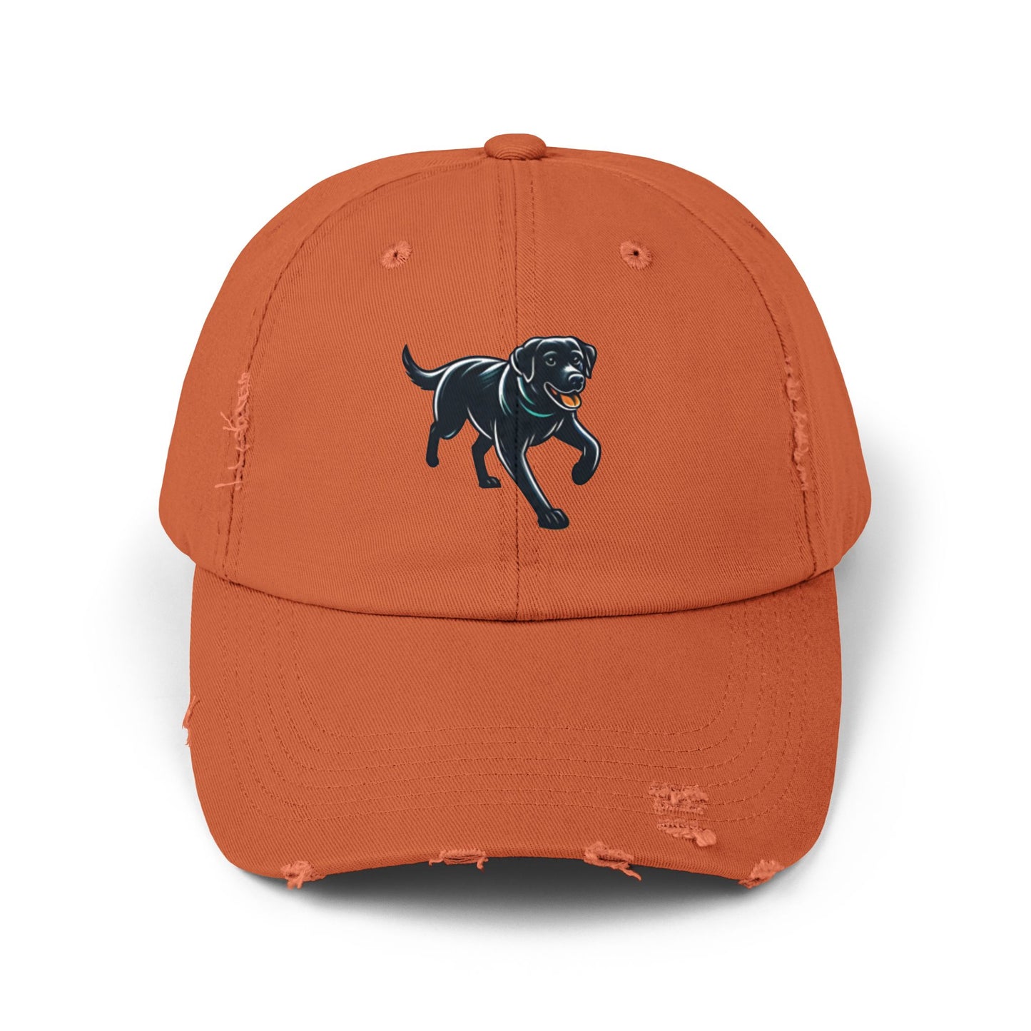 Jetty’s Adventures, Unisex Distressed Cap