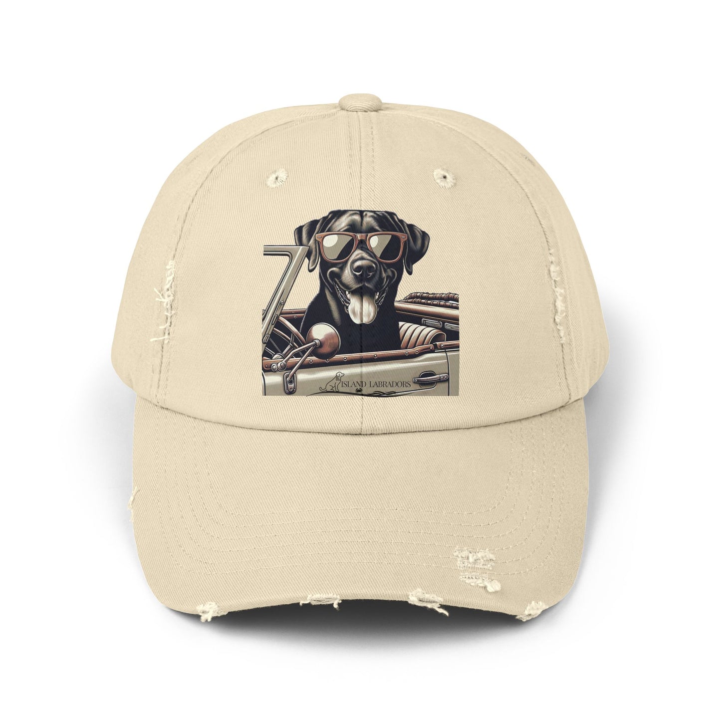 Jeep Lab