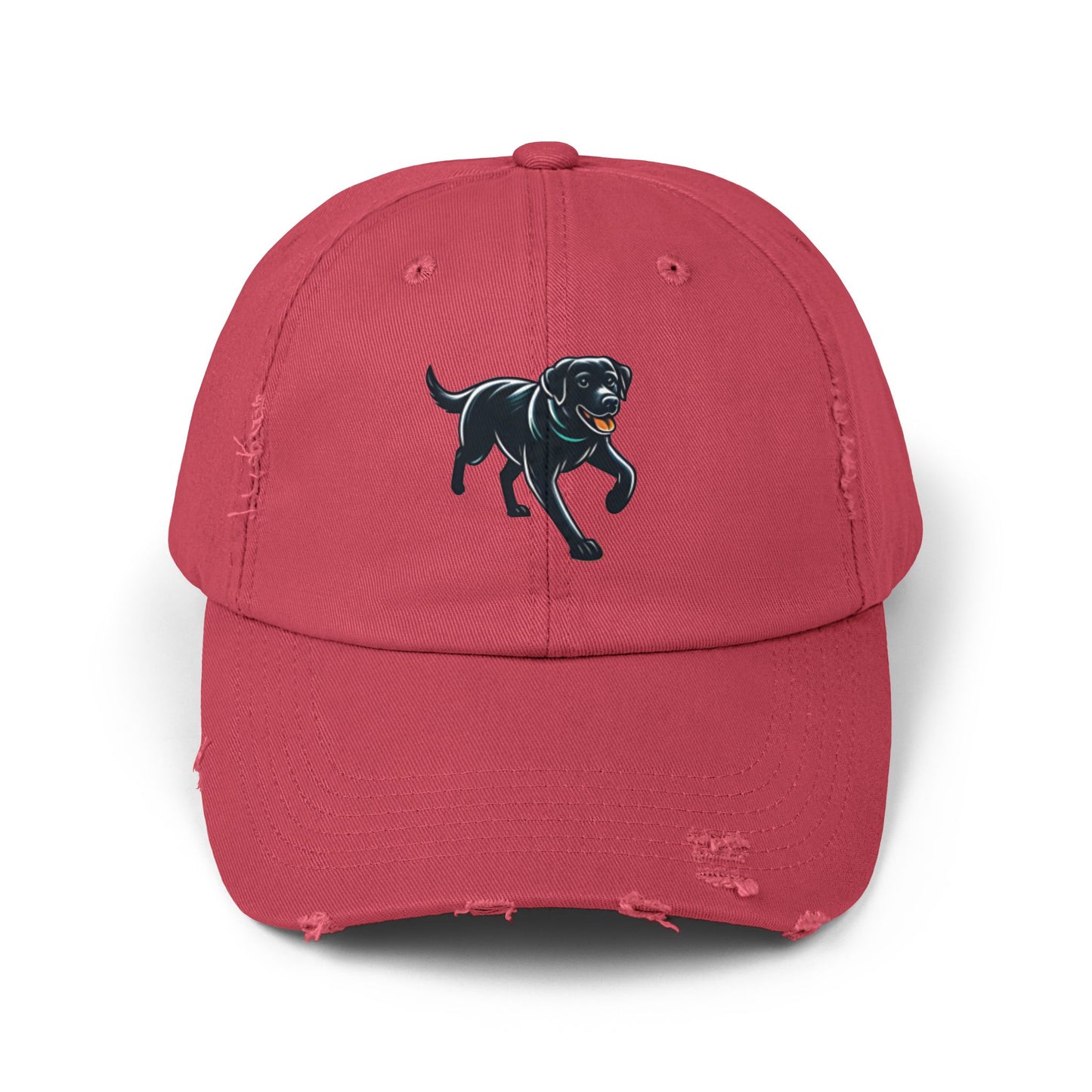 Jetty’s Adventures, Unisex Distressed Cap