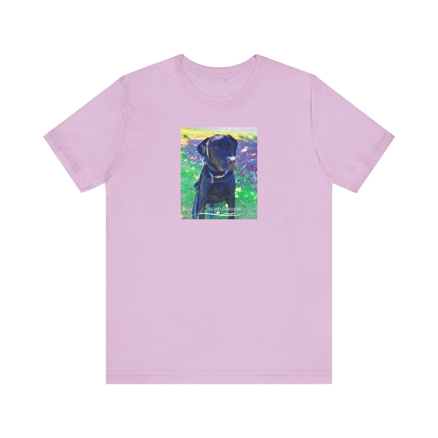 Coastie Black Labby