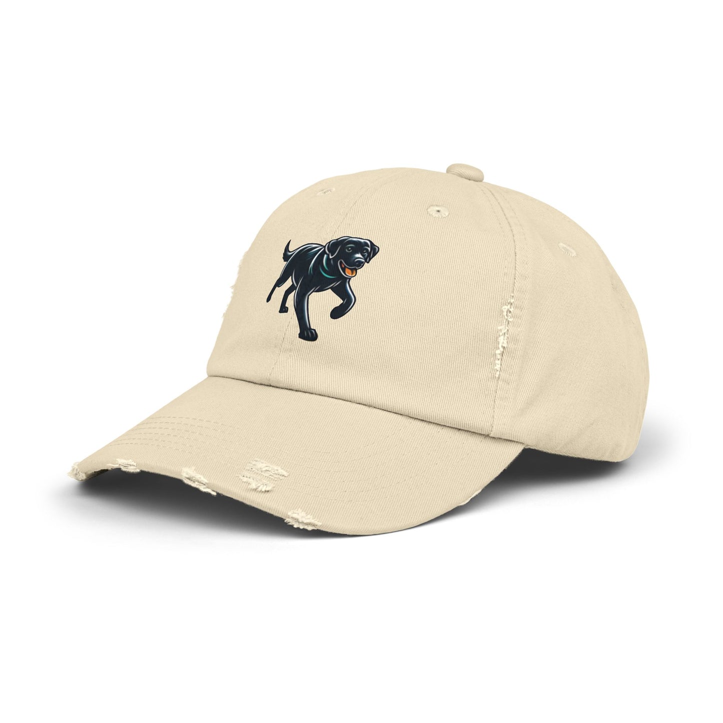 Jetty’s Adventures, Unisex Distressed Cap