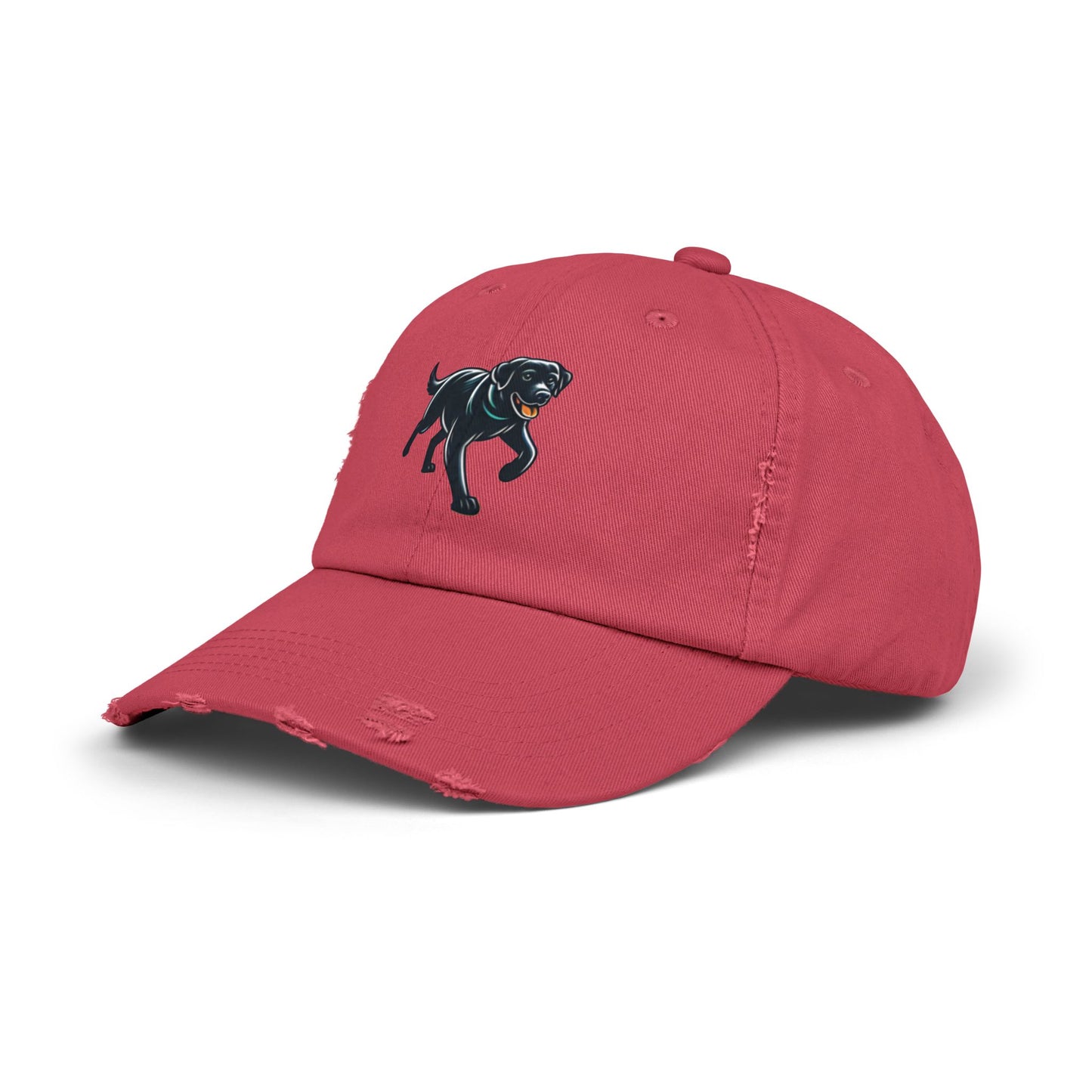 Jetty’s Adventures, Unisex Distressed Cap