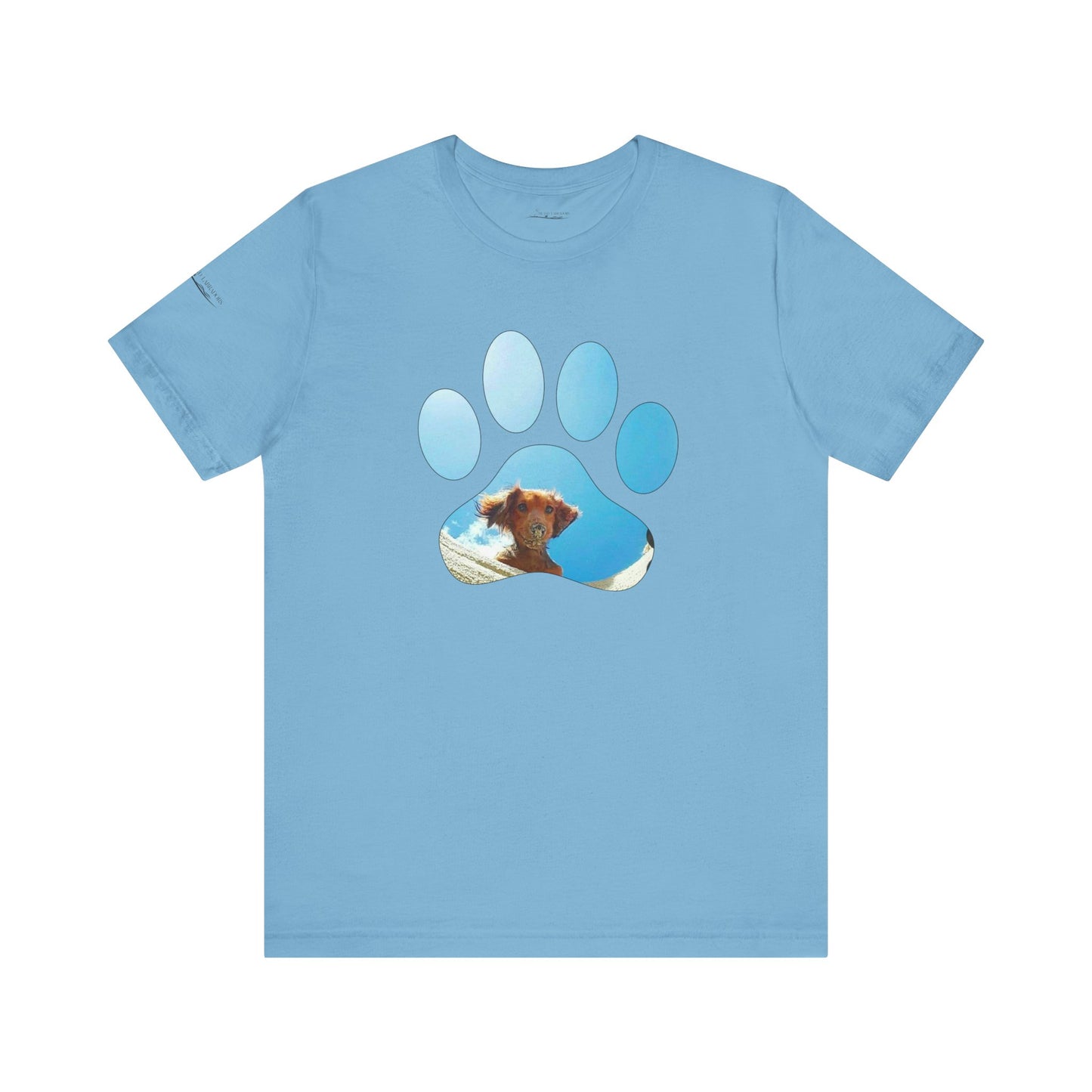 Paw Sandy Hole