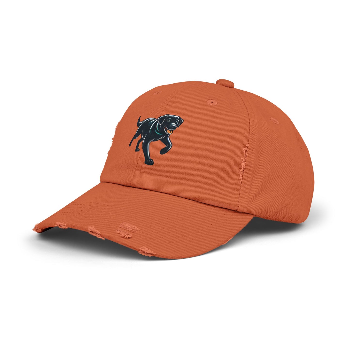 Jetty’s Adventures, Unisex Distressed Cap