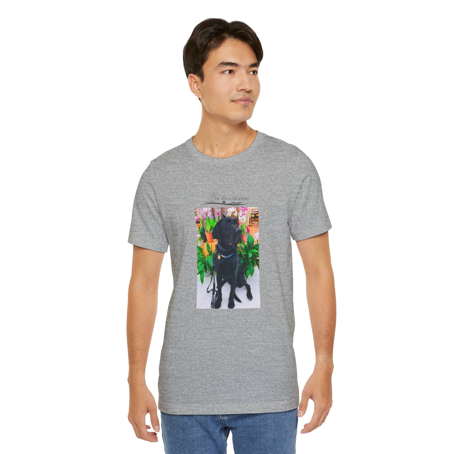 Coastie Service Dog