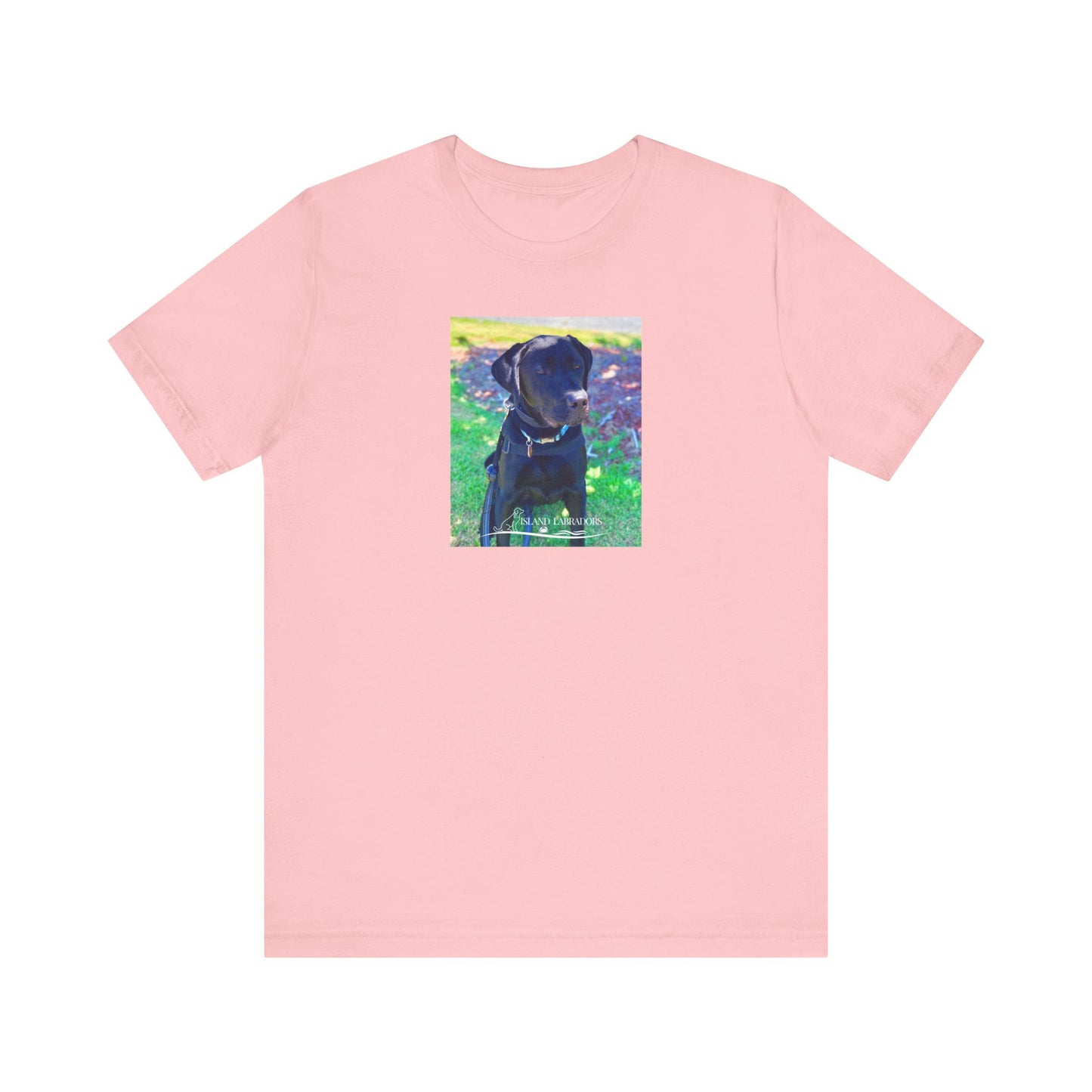Coastie Black Labby