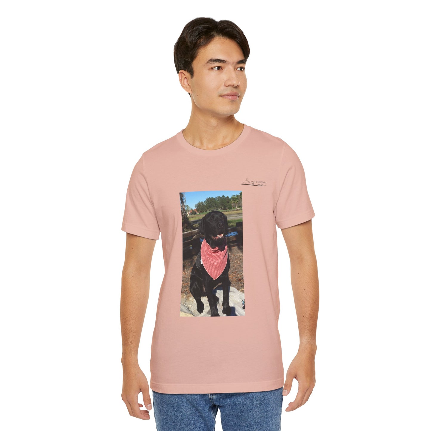 Coastie Black Lab