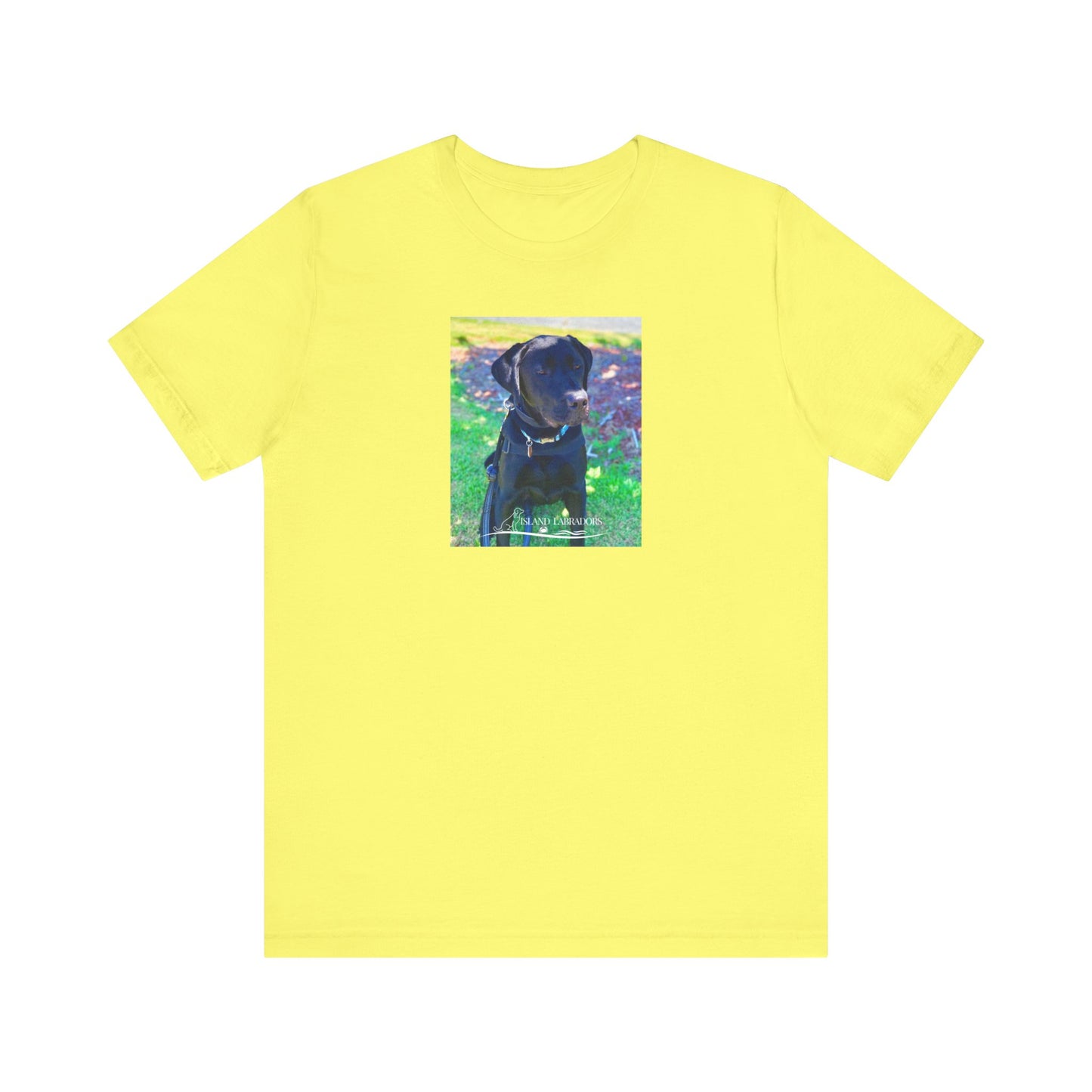 Coastie Black Labby