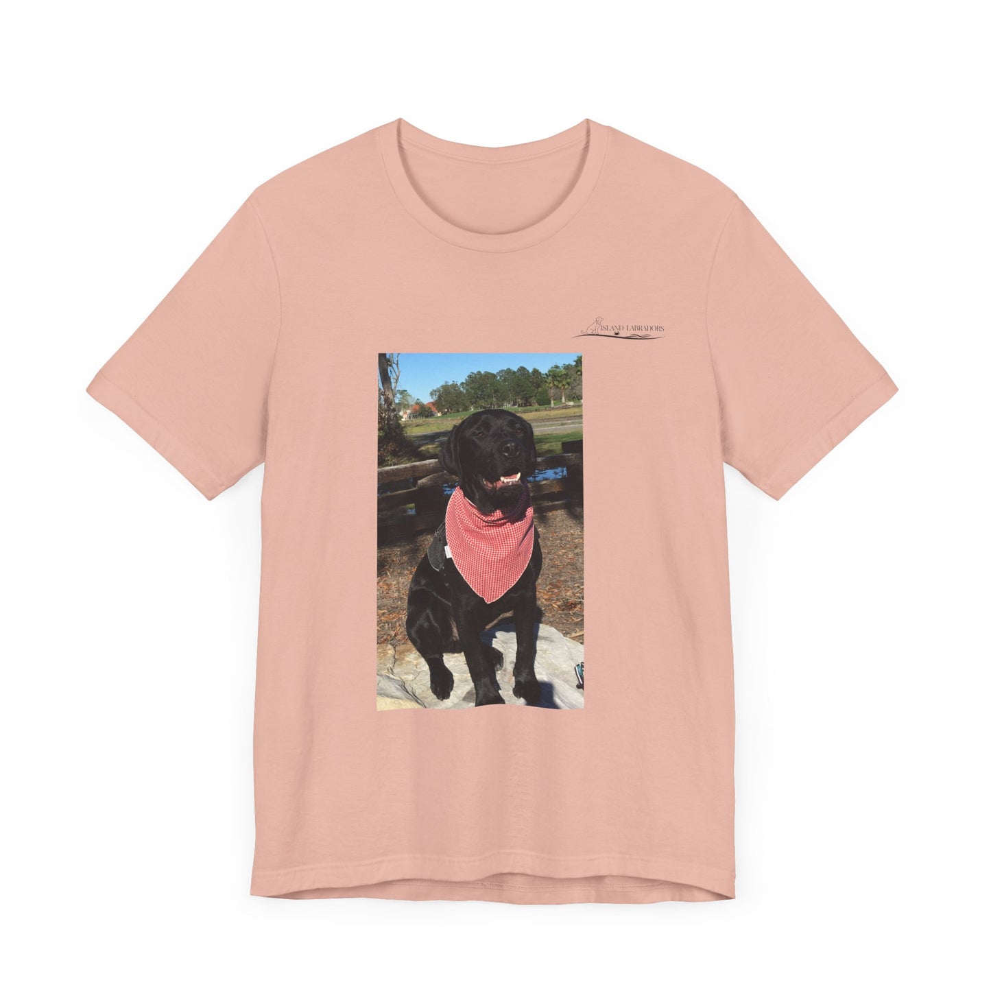 Coastie Black Lab