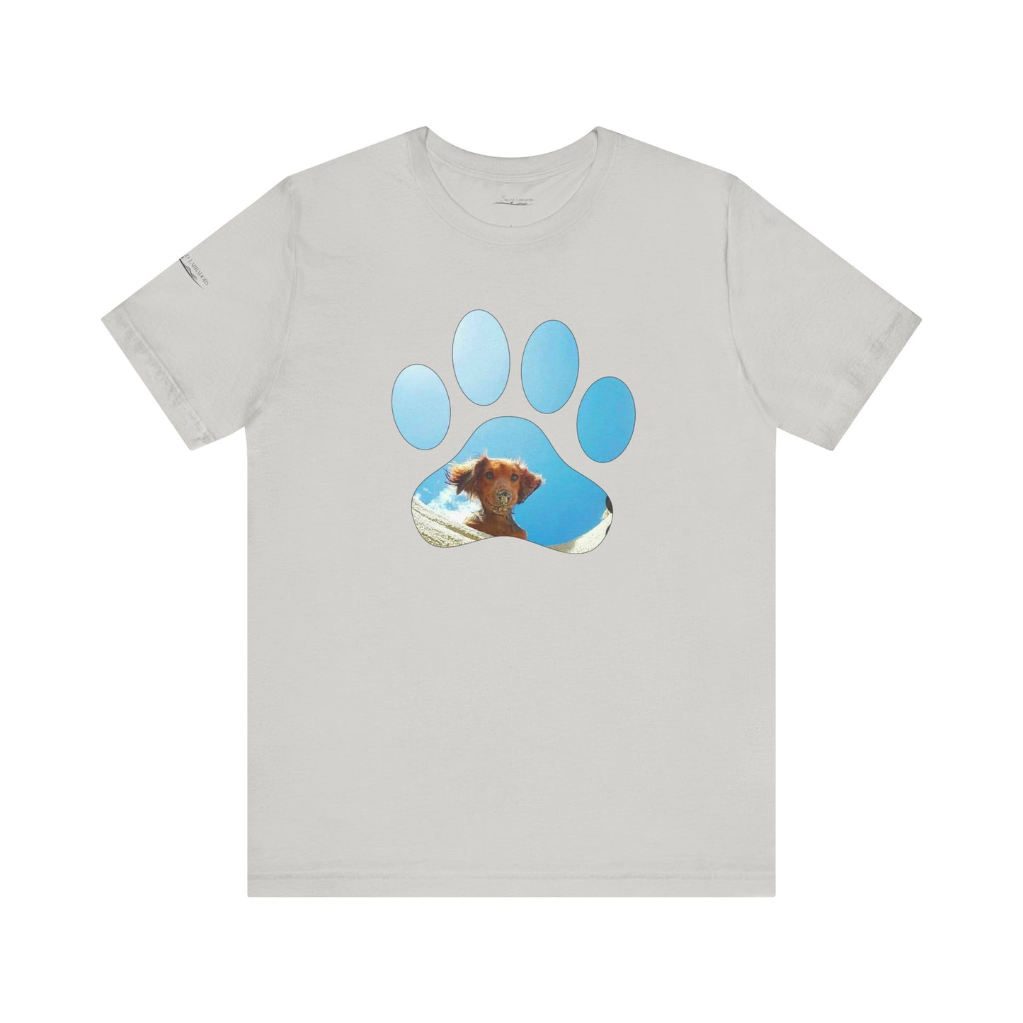 Paw Sandy Hole
