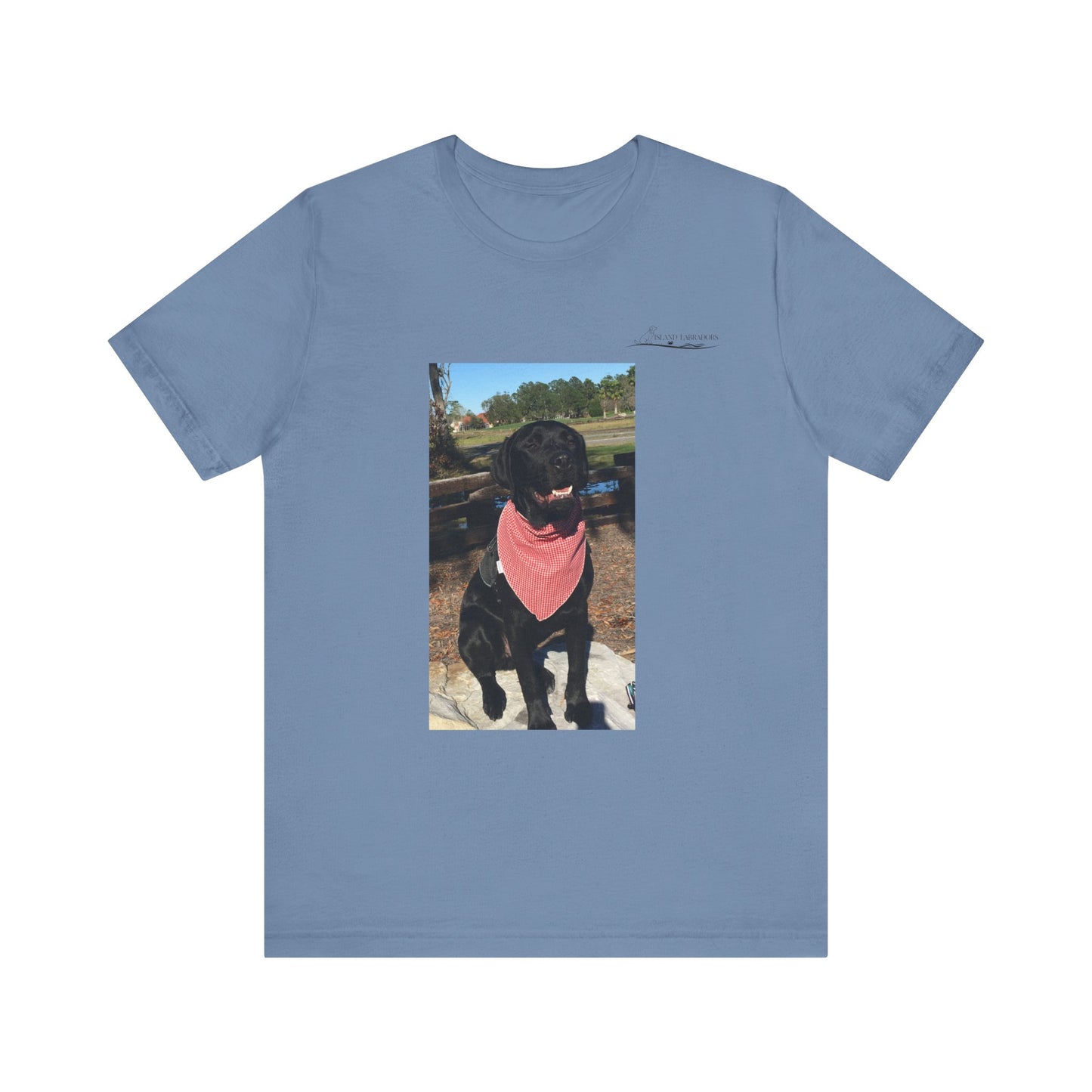 Coastie Black Lab