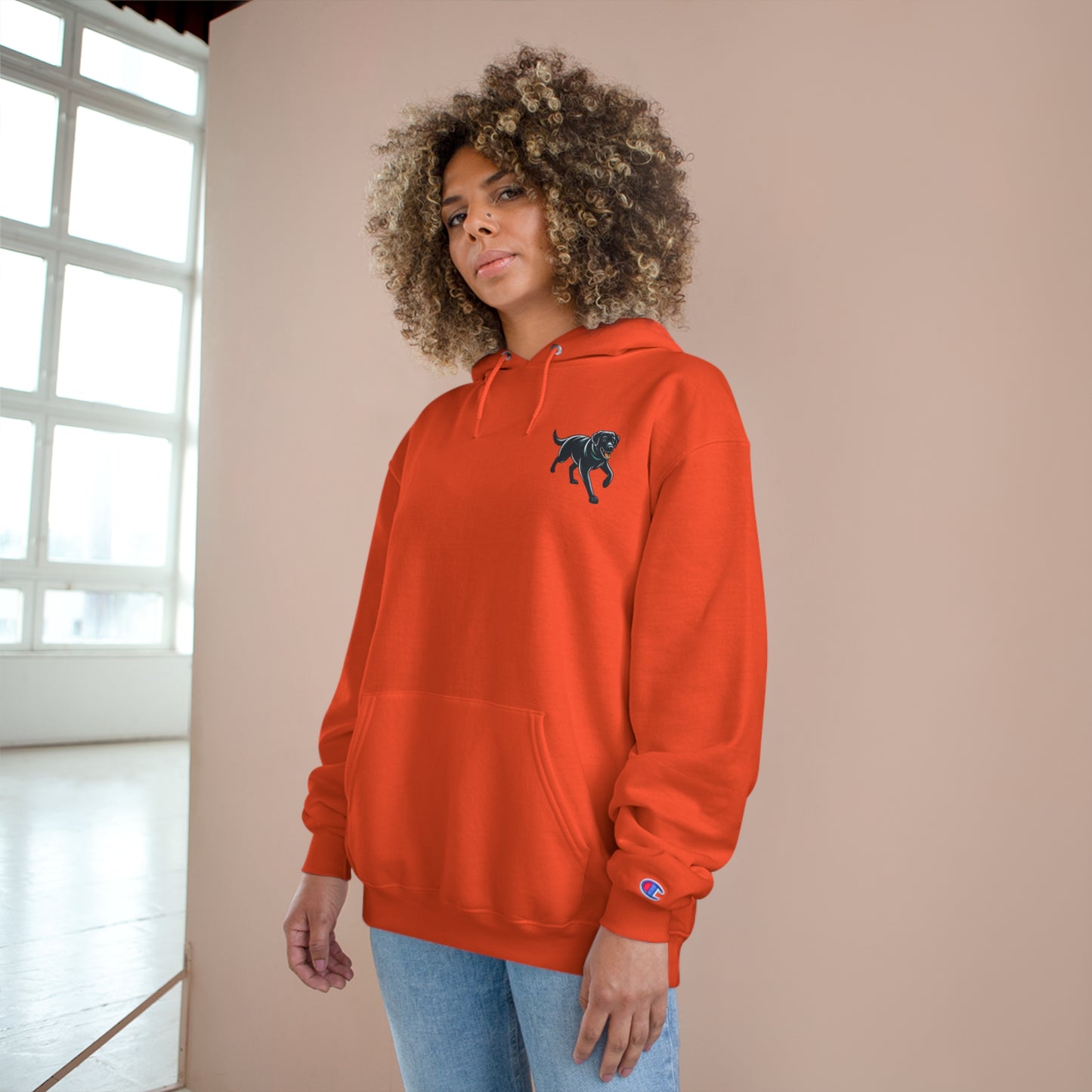 Jetty Sunset, Champion Hoodie