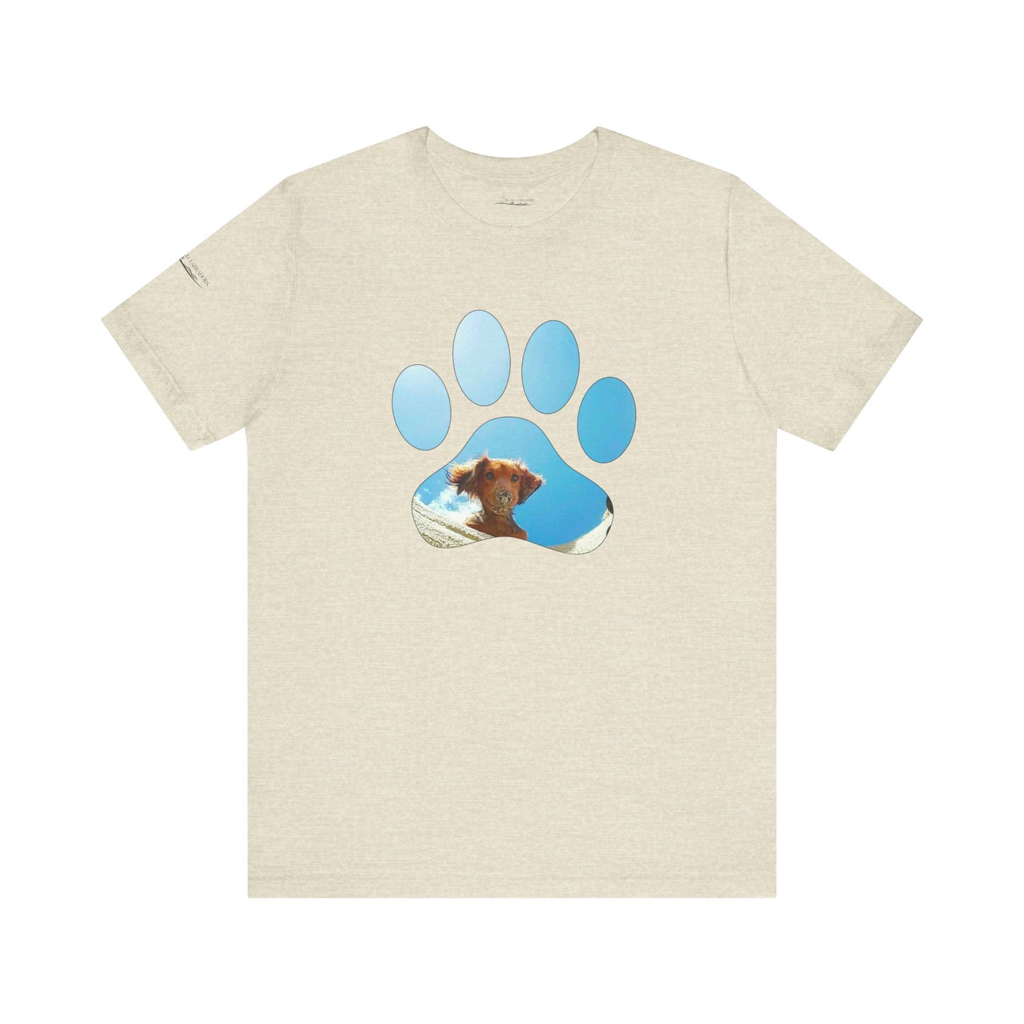 Paw Sandy Hole