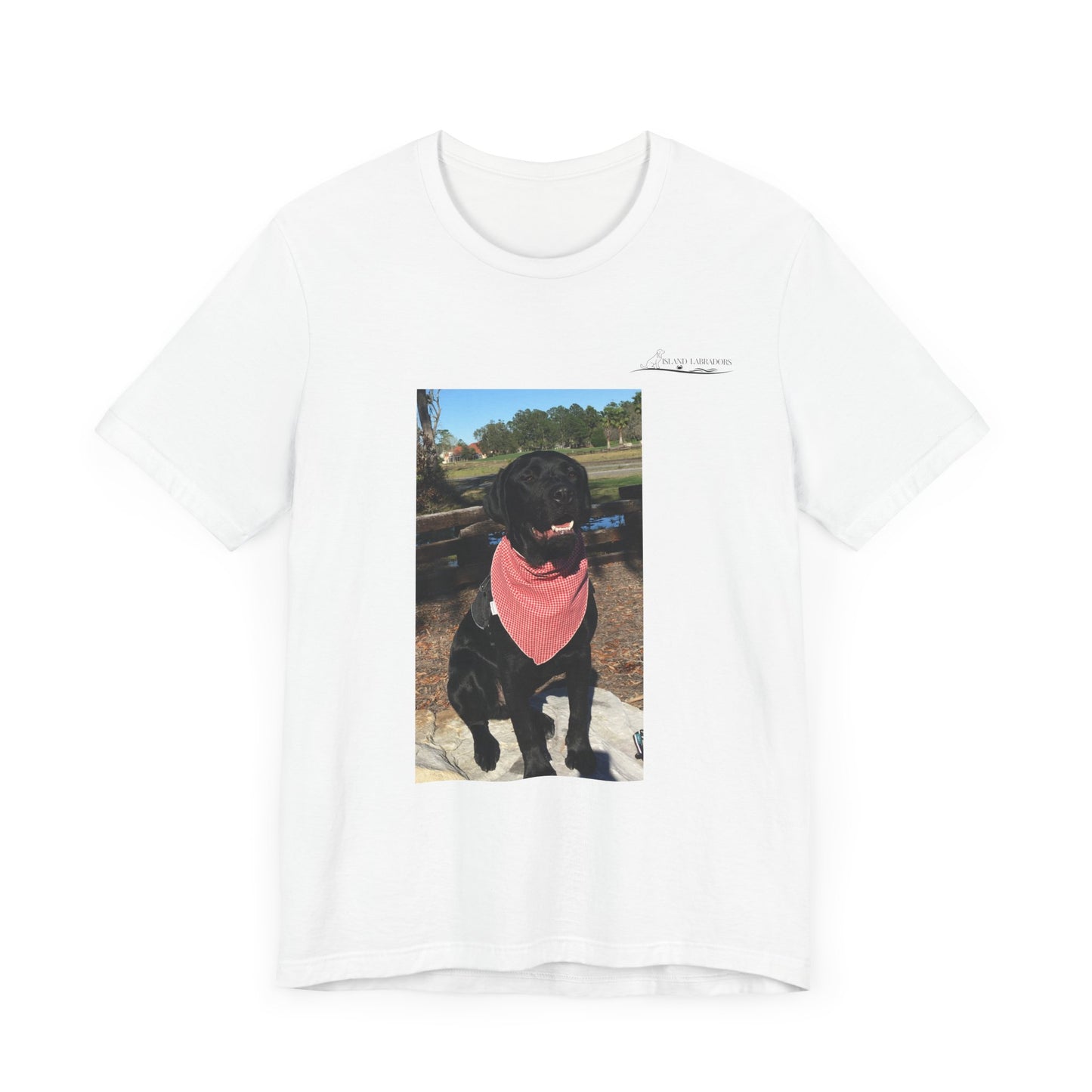 Coastie Black Lab